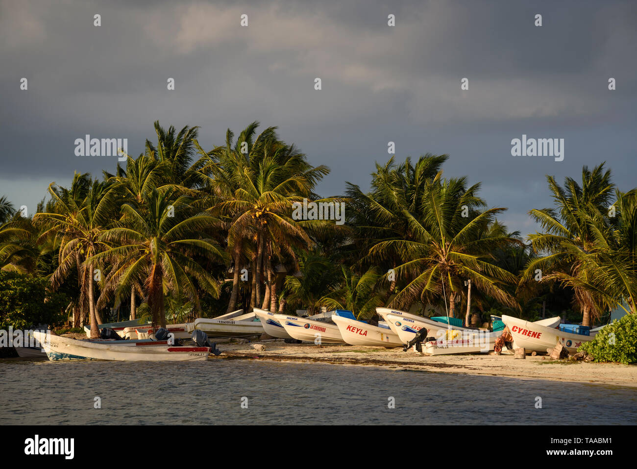 Pangas am Strand von Mahahual, Costa Maya, Mexiko. Stockfoto