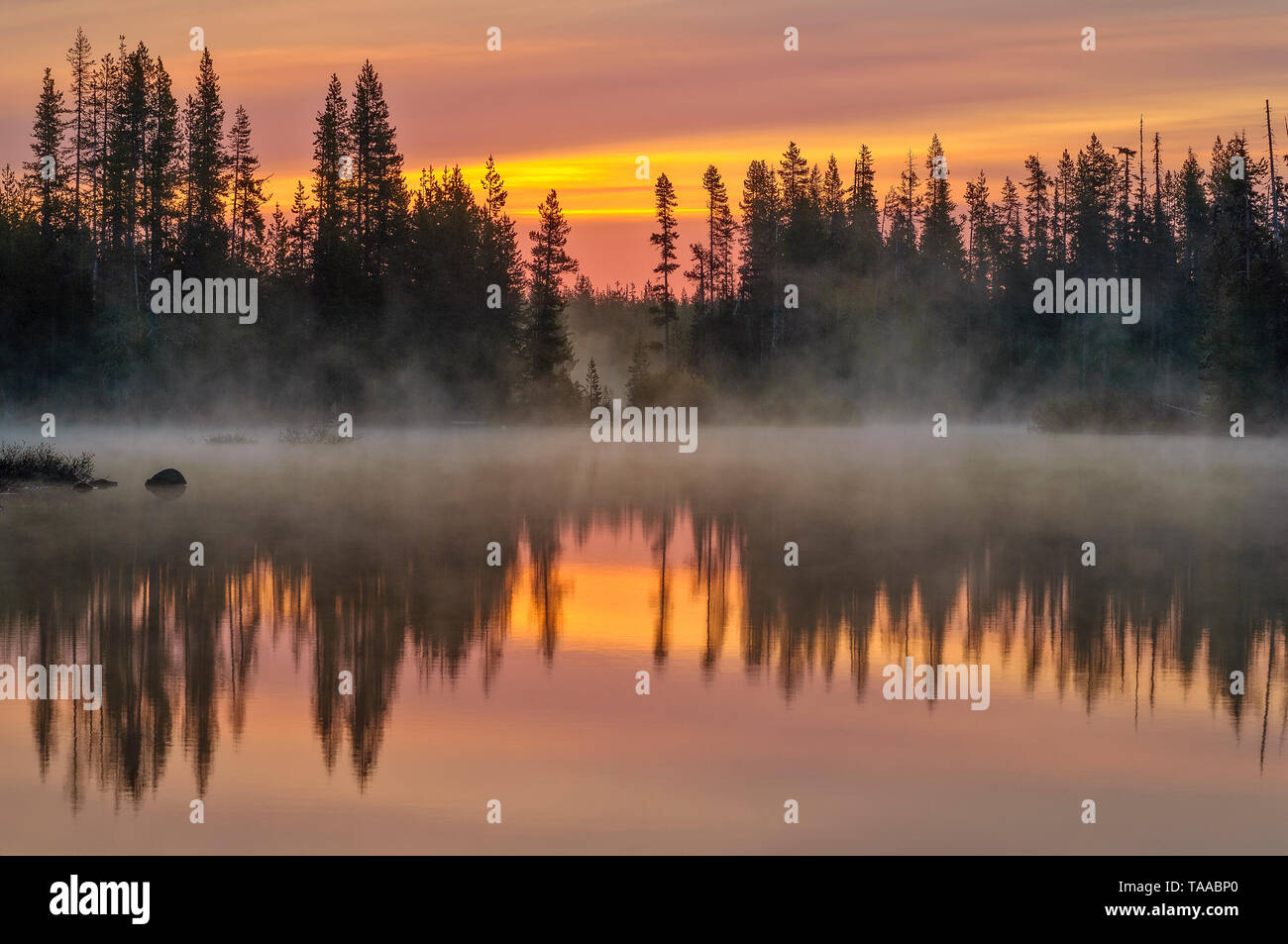 Großer See in der Morgendämmerung, Willamette National Forest, Cascade Mountains, Oregon. Stockfoto
