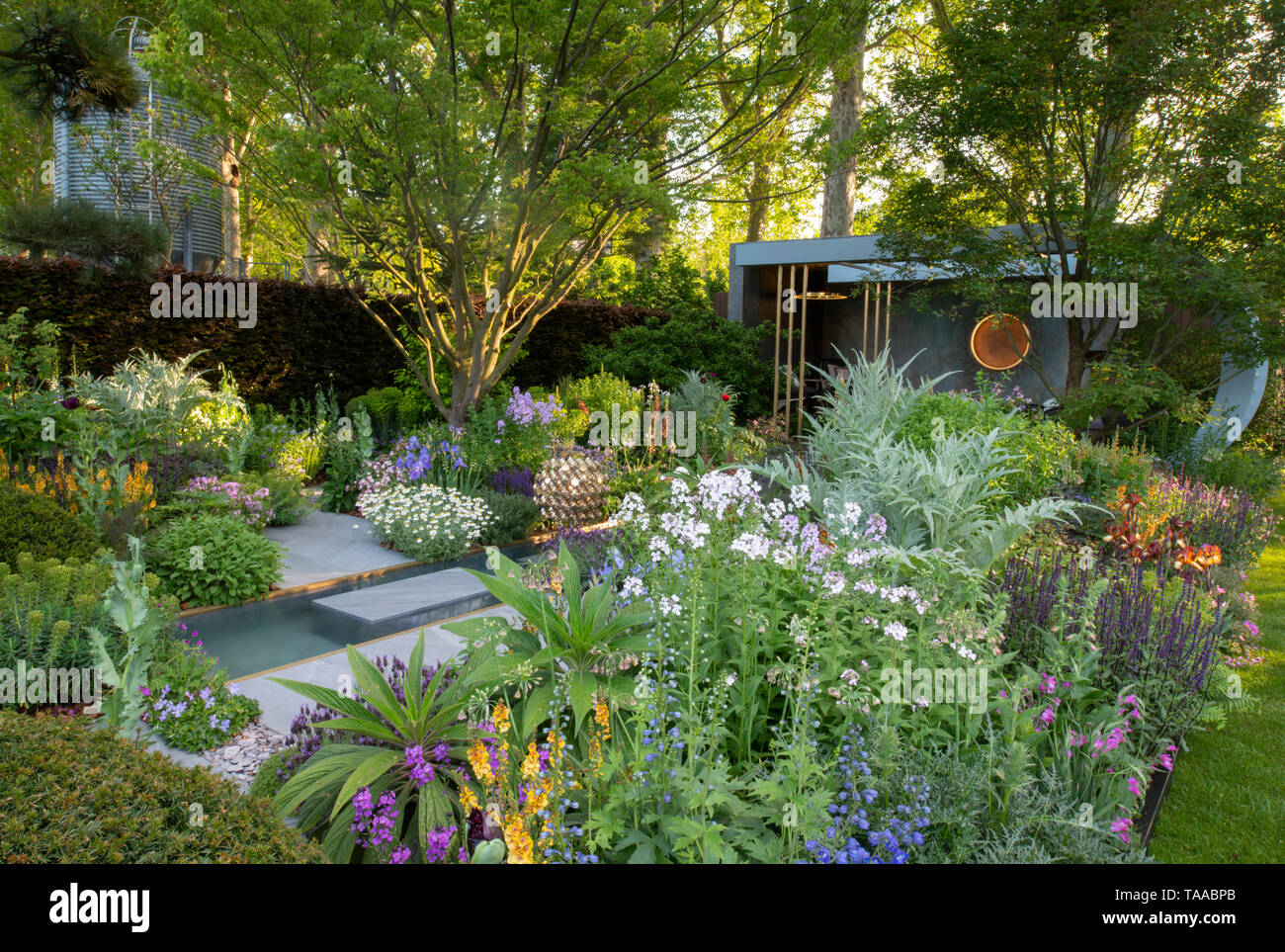 Dichte Bepflanzung in der Morgan Stanley Garten von Chris beardshaw an der RHS Chelsea Flower Show 2019 konzipiert. Stockfoto