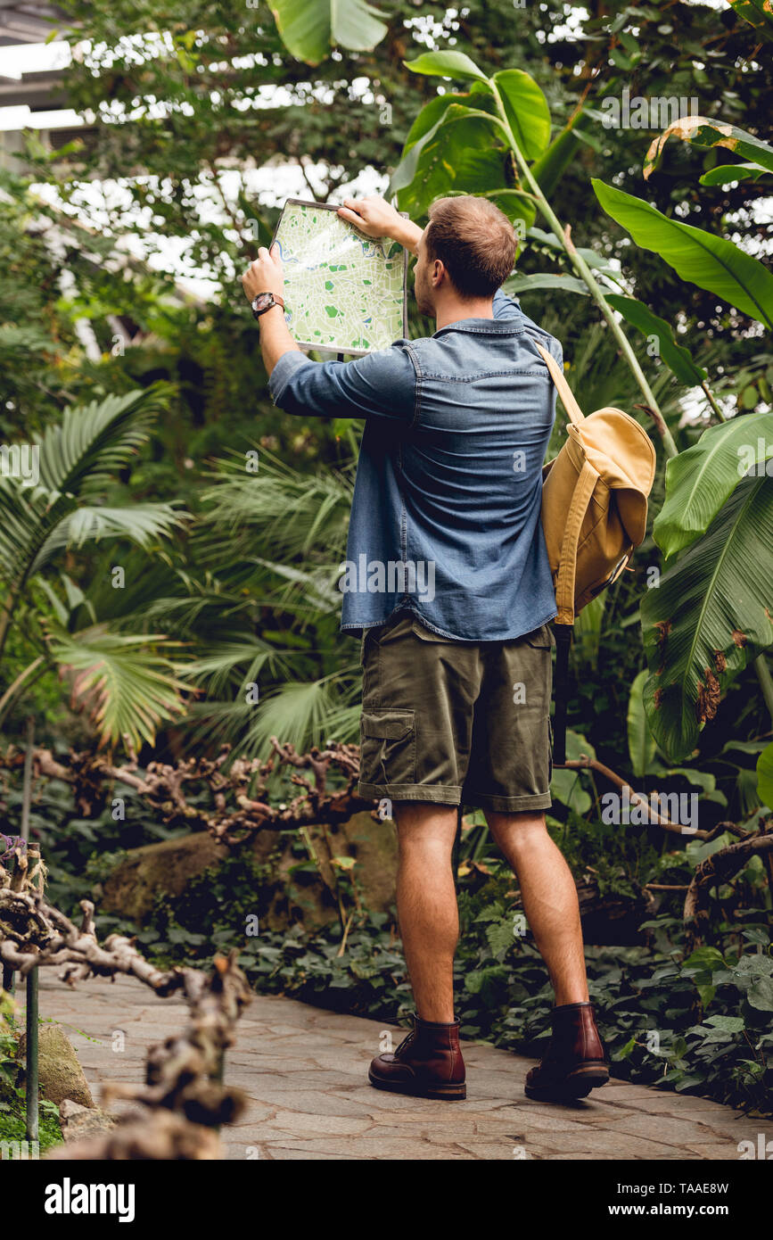 Rückansicht des Reisenden mit Rucksack, Karte und Wandern im grünen, tropischen Wald Stockfoto