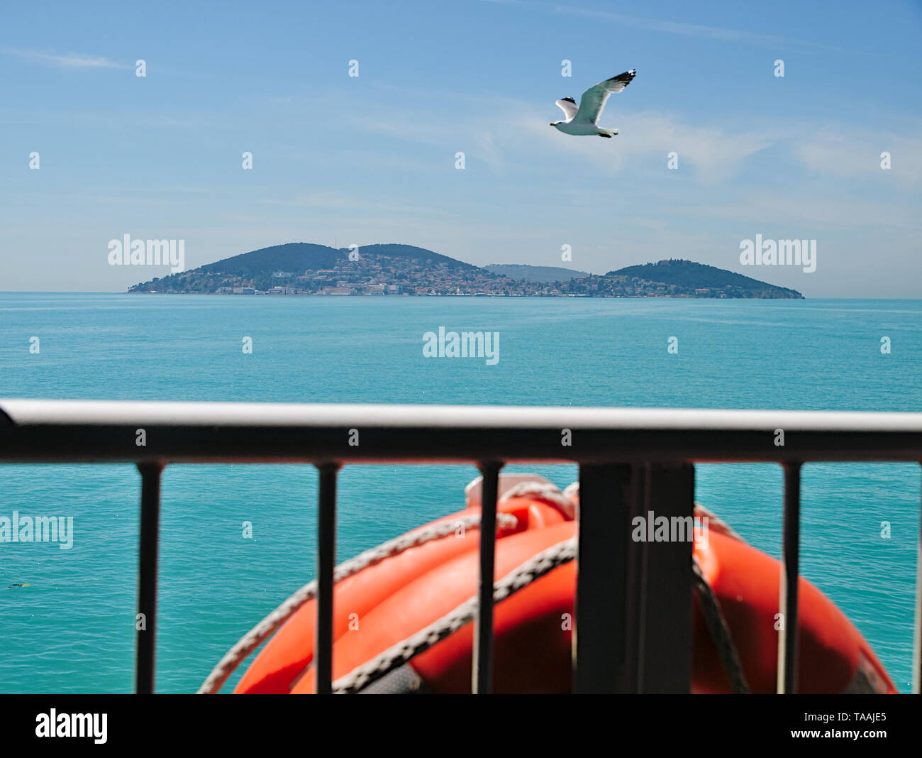 Blick vom Schiff einer Möwe Flug über das Meer und die Insel auf Hintergrund während einer Kreuzfahrt Bosporus, Prinz Inseln, Türkei. Stockfoto