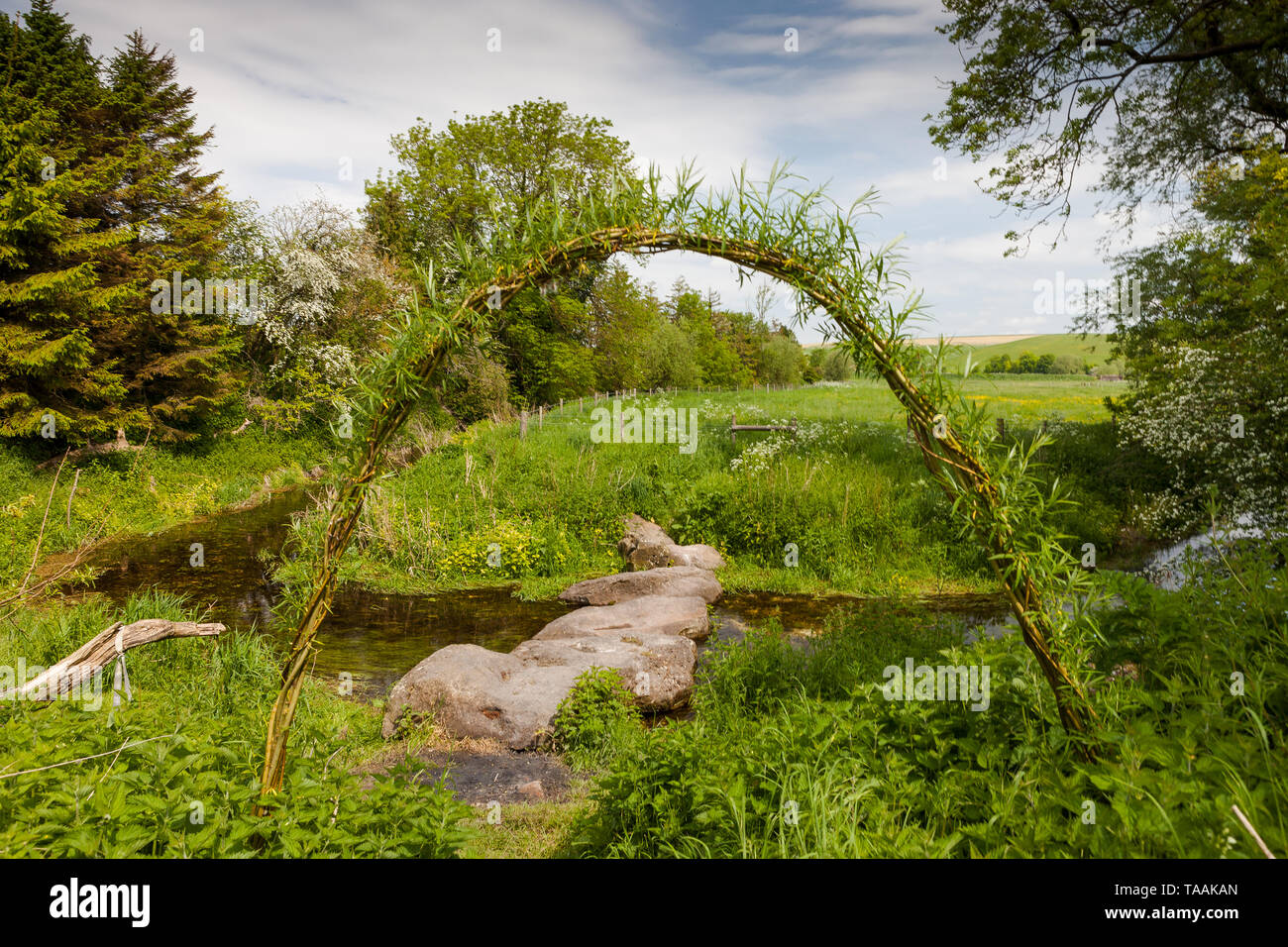 Eine von Anfang an die Quellen des Flusses Kennet an der Quelle am Swallowhead Frühling in der Nähe von Avebury, Wiltshire, Großbritannien Stockfoto