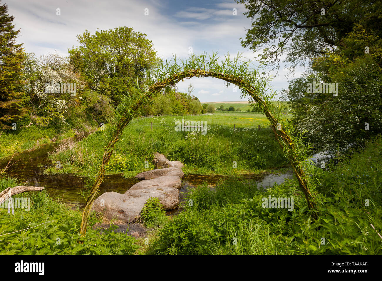 Eine von Anfang an die Quellen des Flusses Kennet an der Quelle am Swallowhead Frühling in der Nähe von Avebury, Wiltshire, Großbritannien Stockfoto