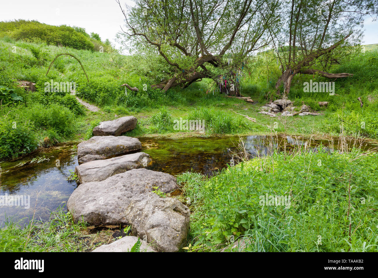 Eine von Anfang an die Quellen des Flusses Kennet an der Quelle am Swallowhead Frühling in der Nähe von Avebury, Wiltshire, Großbritannien Stockfoto