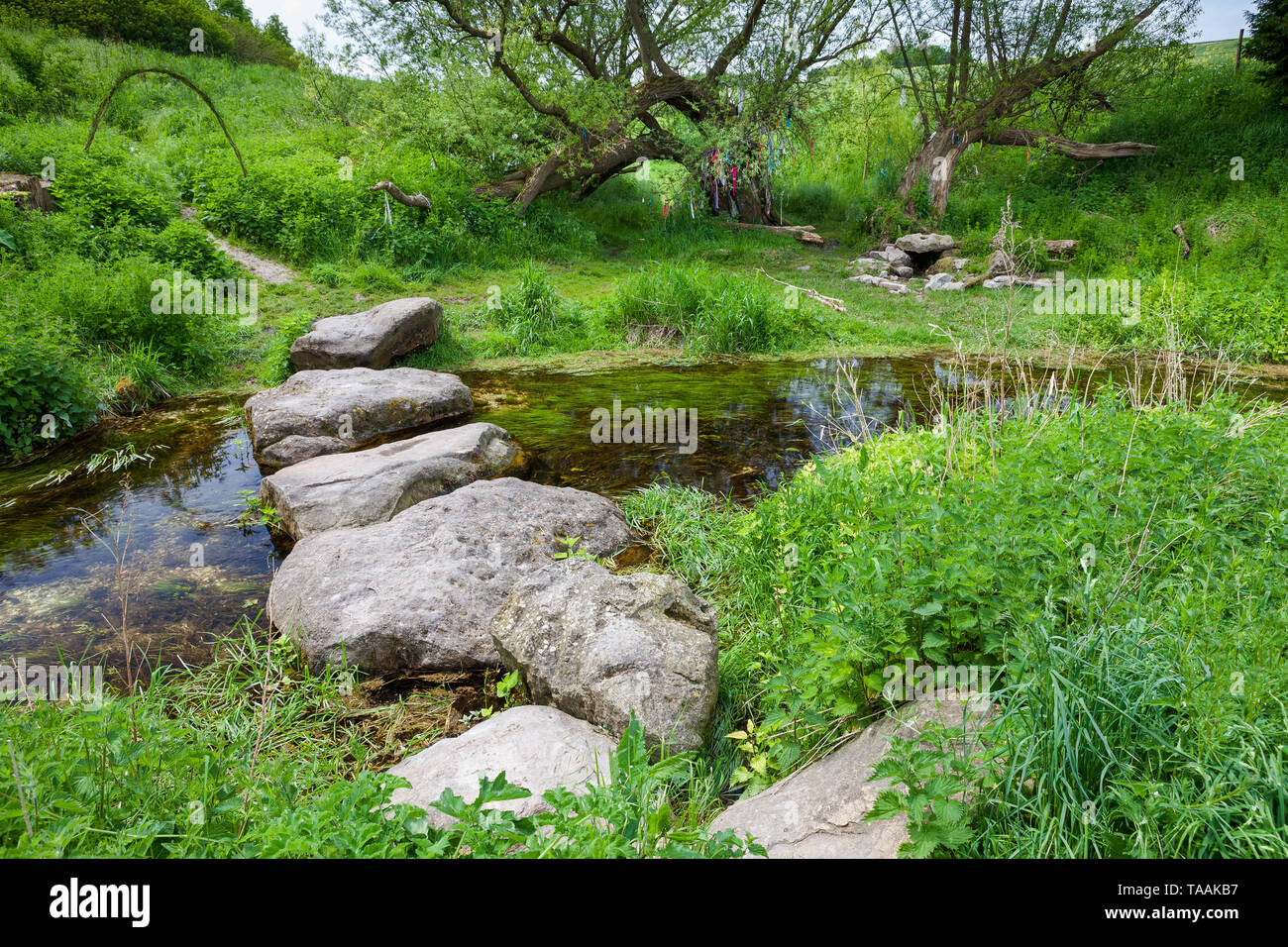 Eine von Anfang an die Quellen des Flusses Kennet an der Quelle am Swallowhead Frühling in der Nähe von Avebury, Wiltshire, Großbritannien Stockfoto