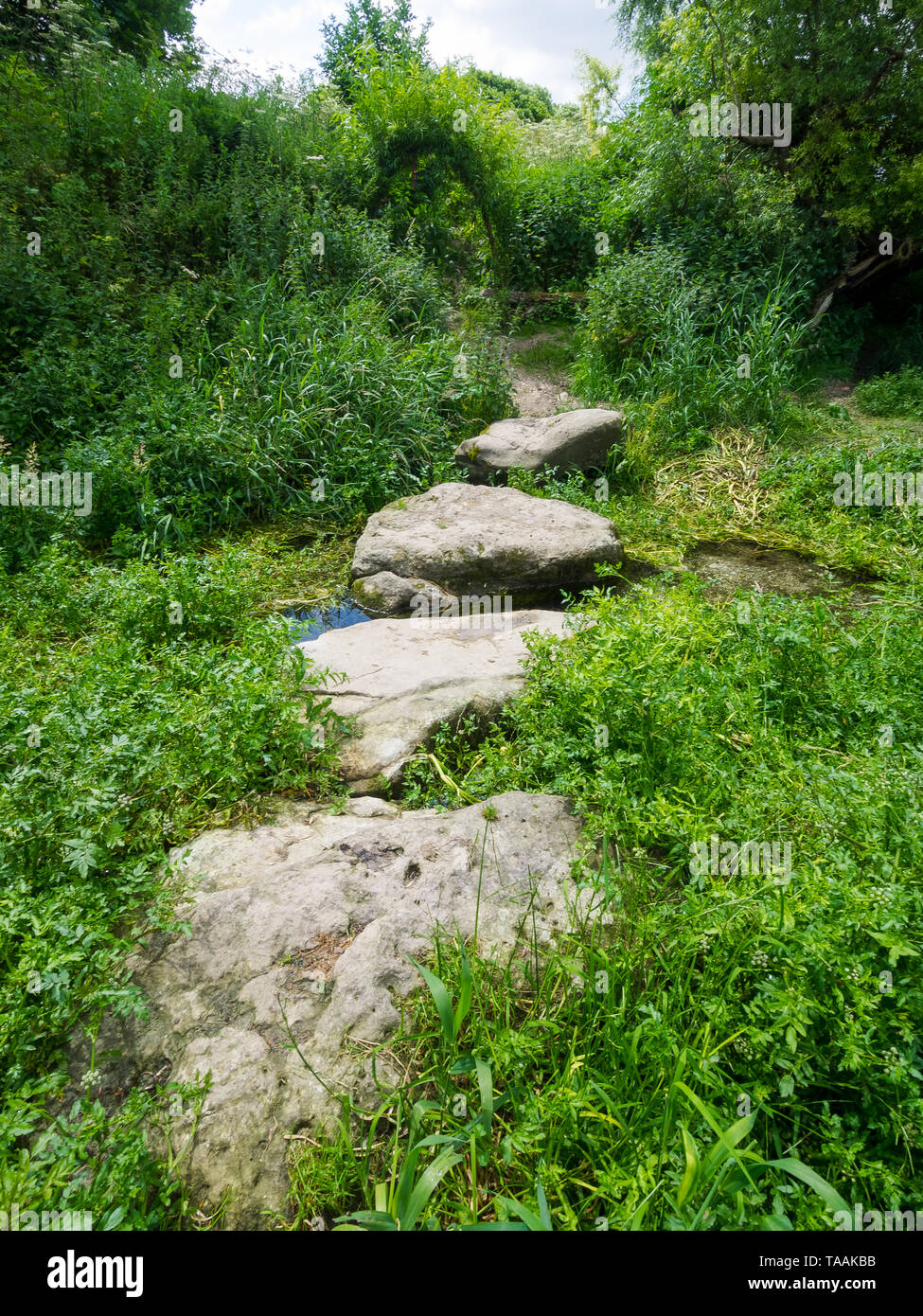 Eine von Anfang an die Quellen des Flusses Kennet an der Quelle am Swallowhead Frühling in der Nähe von Avebury, Wiltshire, Großbritannien Stockfoto