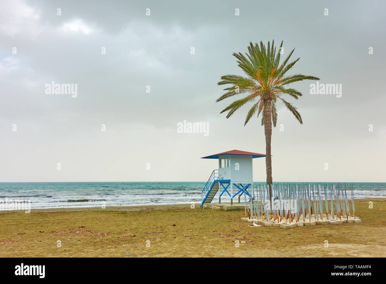 Mackenzie Strand mit Palme und Life guard Tower, Larnaca, Zypern Stockfoto