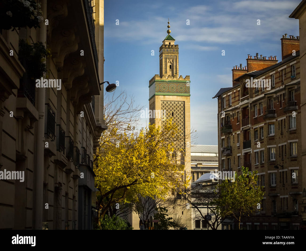 Pariser Landschaft mit Blick auf die Große Moschee von Paris zwischen den Gebäuden des 5. Arrondissement, Frankreich Stockfoto