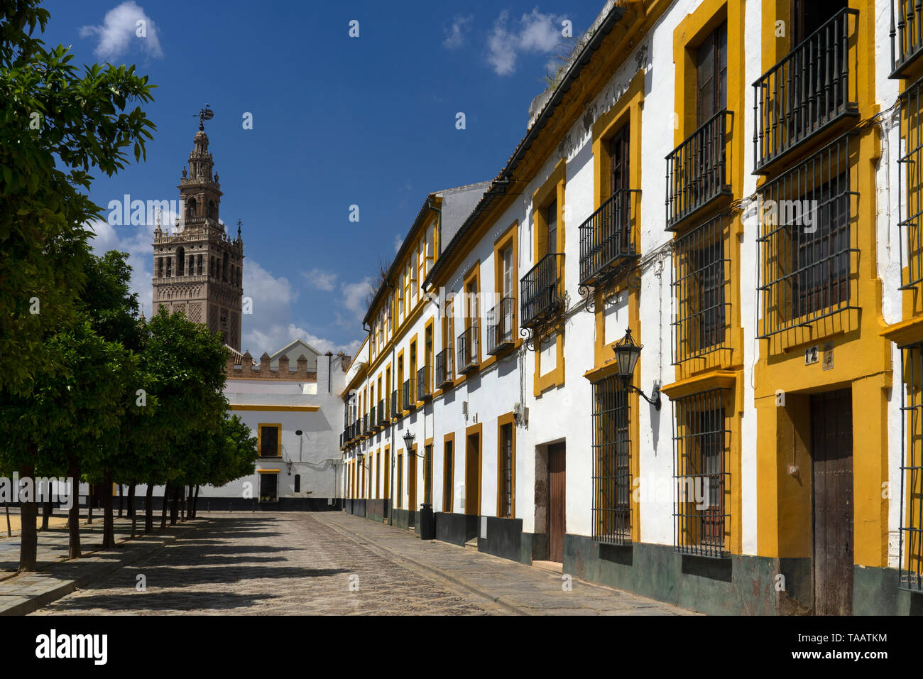 Quadrat an alcazar mit alten Gebäuden mit Kathedrale in Abstand, Sevilla, Andalusien, Spanien Stockfoto