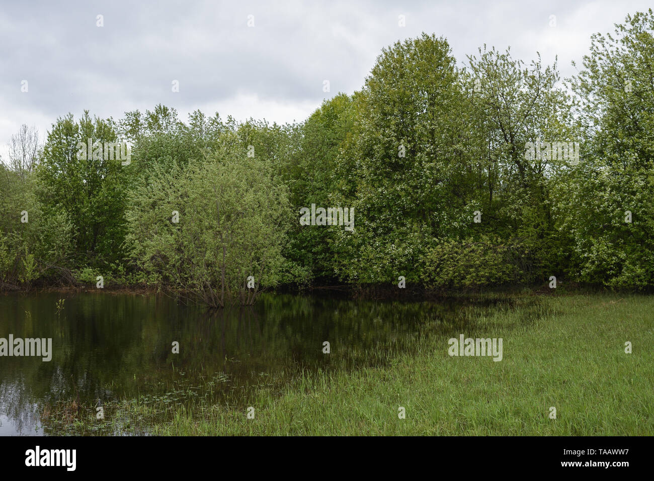 Landschaft. Hohe Wasser in die Felder im späten Frühjahr Stockfoto