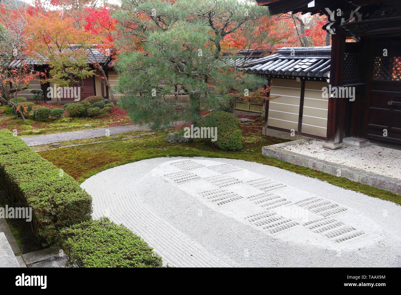 Kyoto, Japan - Blätter im Herbst bei Eikando Zenrinji Tempel. Stockfoto