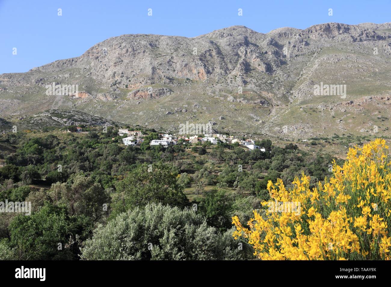 Landschaft der Insel Kreta in Griechenland. Kentrochori Dorf in den Bergen mit Mount Kedros im Hintergrund. Stockfoto