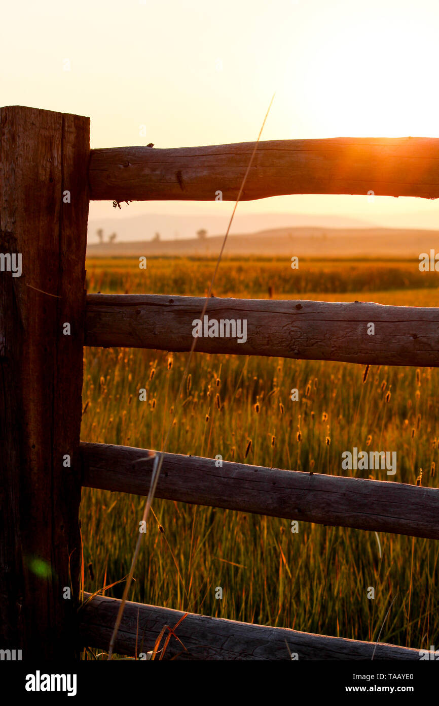 Am frühen Morgen Sonnenlicht auf Holzmöbeln im Landhausstil Bauernhof Zaun in ländlichen in Wyoming, USA. Stockfoto