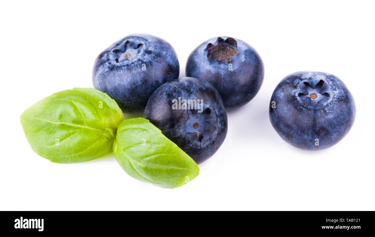 Blaubeeren mit Blättern isoliert Stockfoto