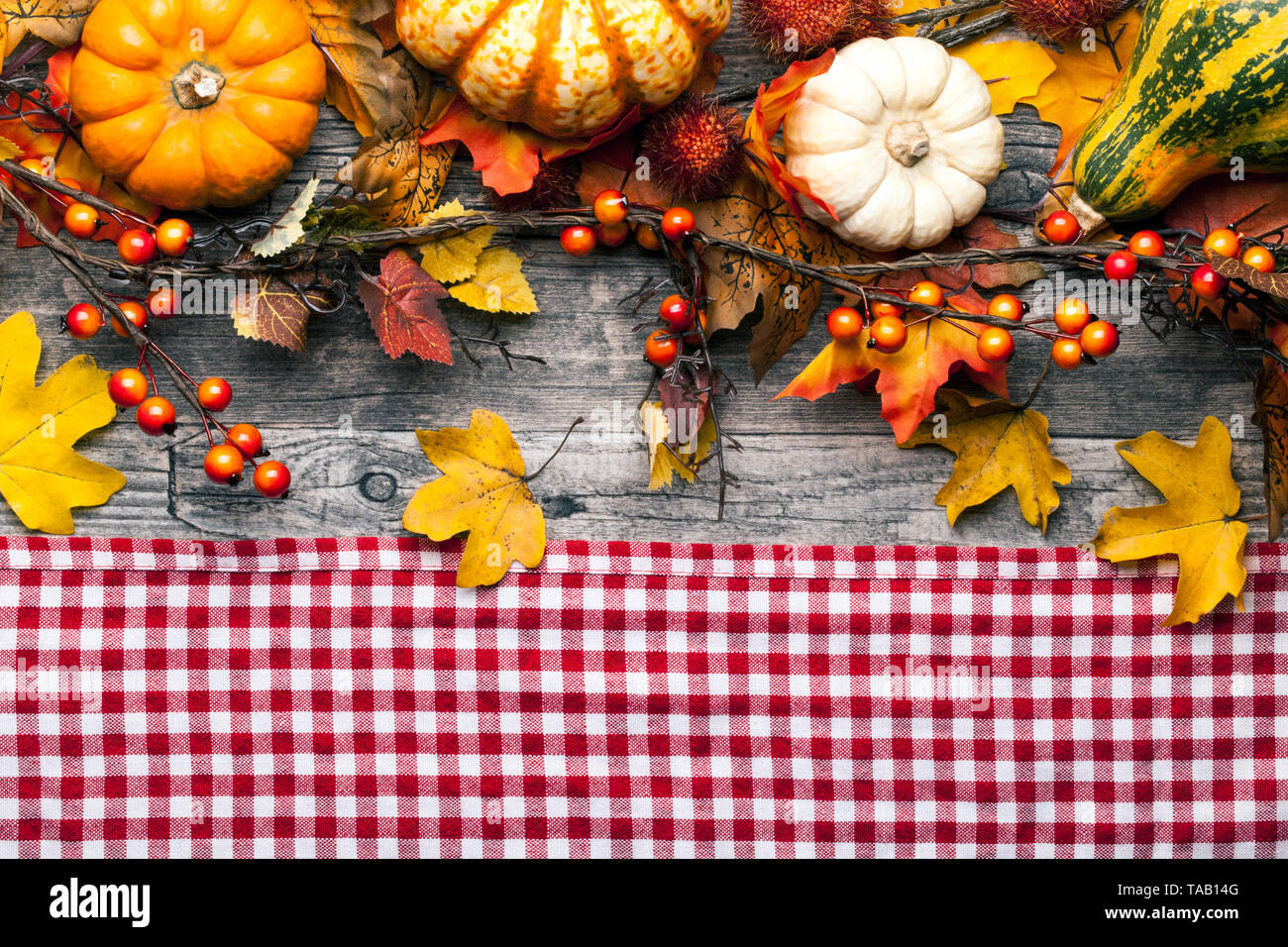 Herbst Hintergrund mit Kürbissen, Blätter und Beeren Stockfoto
