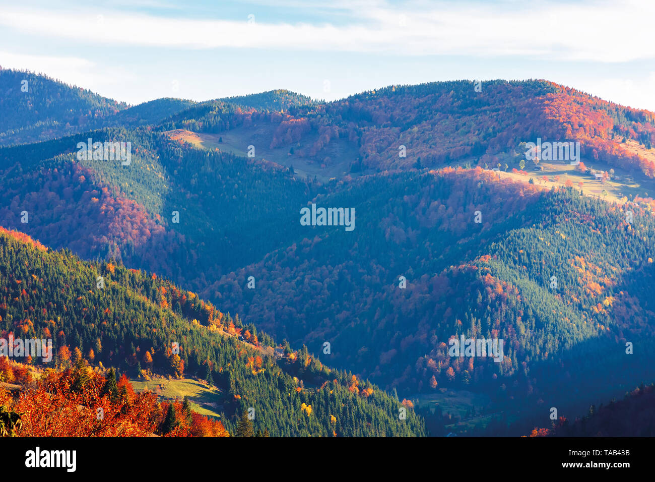 Helle Herbst Landschaft in den Bergen. Wald auf Hügeln in buntes Laub. sonnigen Abend mit bewölktem Himmel Stockfoto