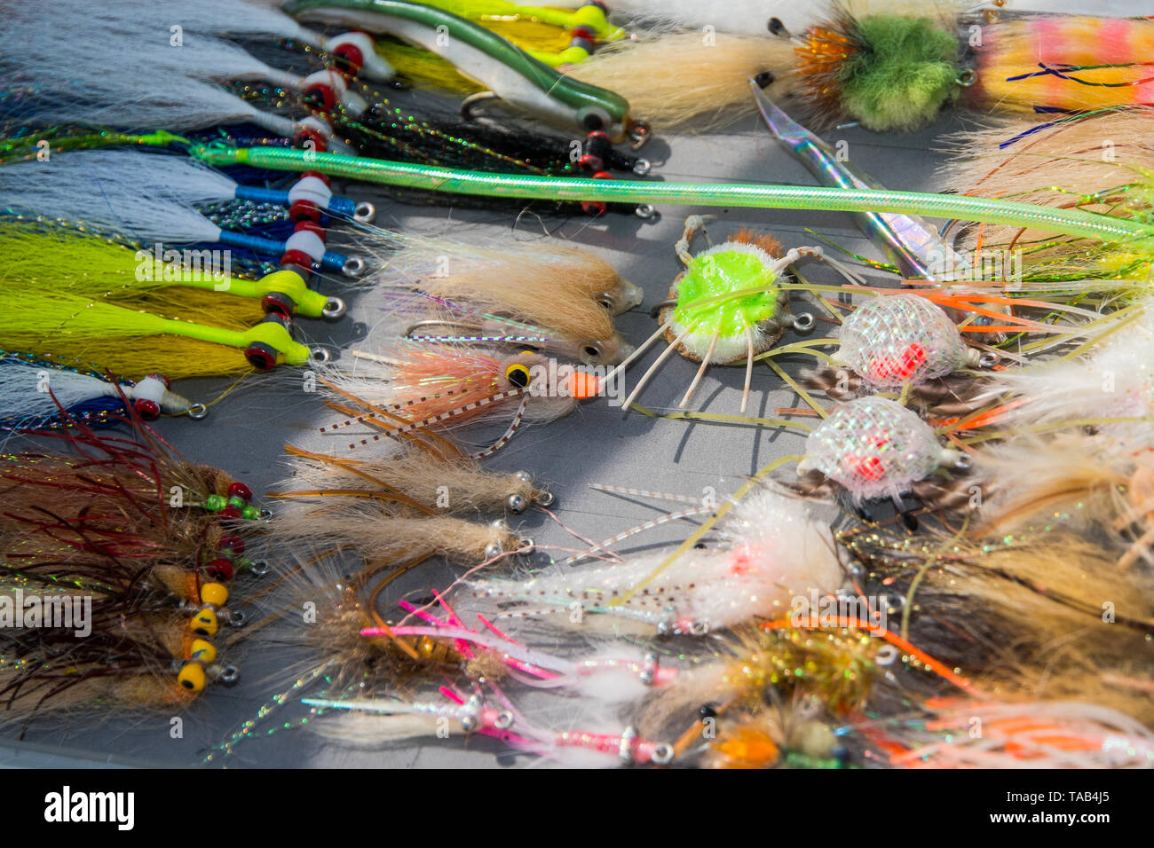 Salzwasser Fliegenfischen verschiedene Fliegenfischen Bugs in Feld Stockfoto