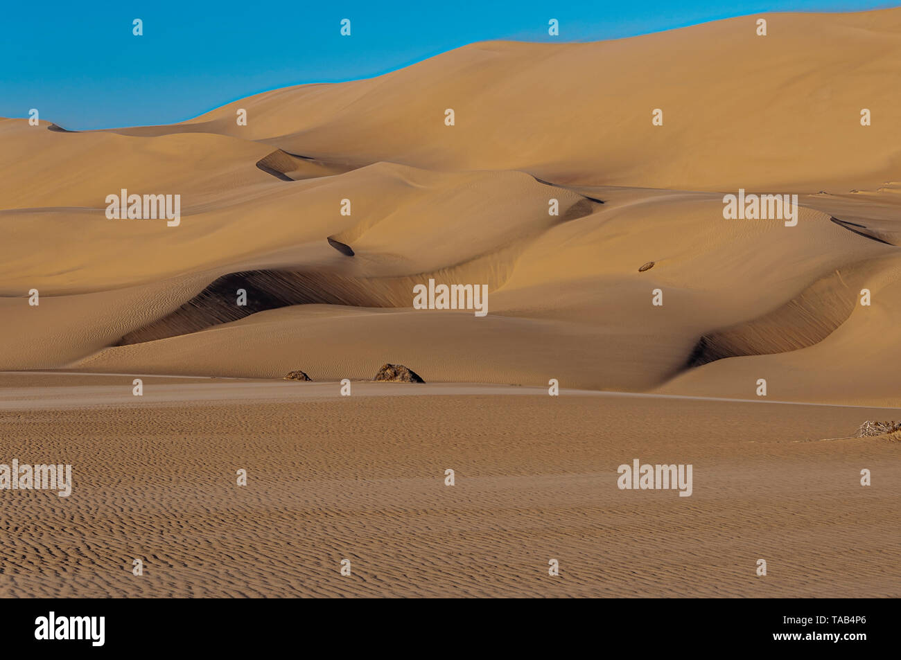 Dünen der Namib Wüste von Namibia. Stockfoto