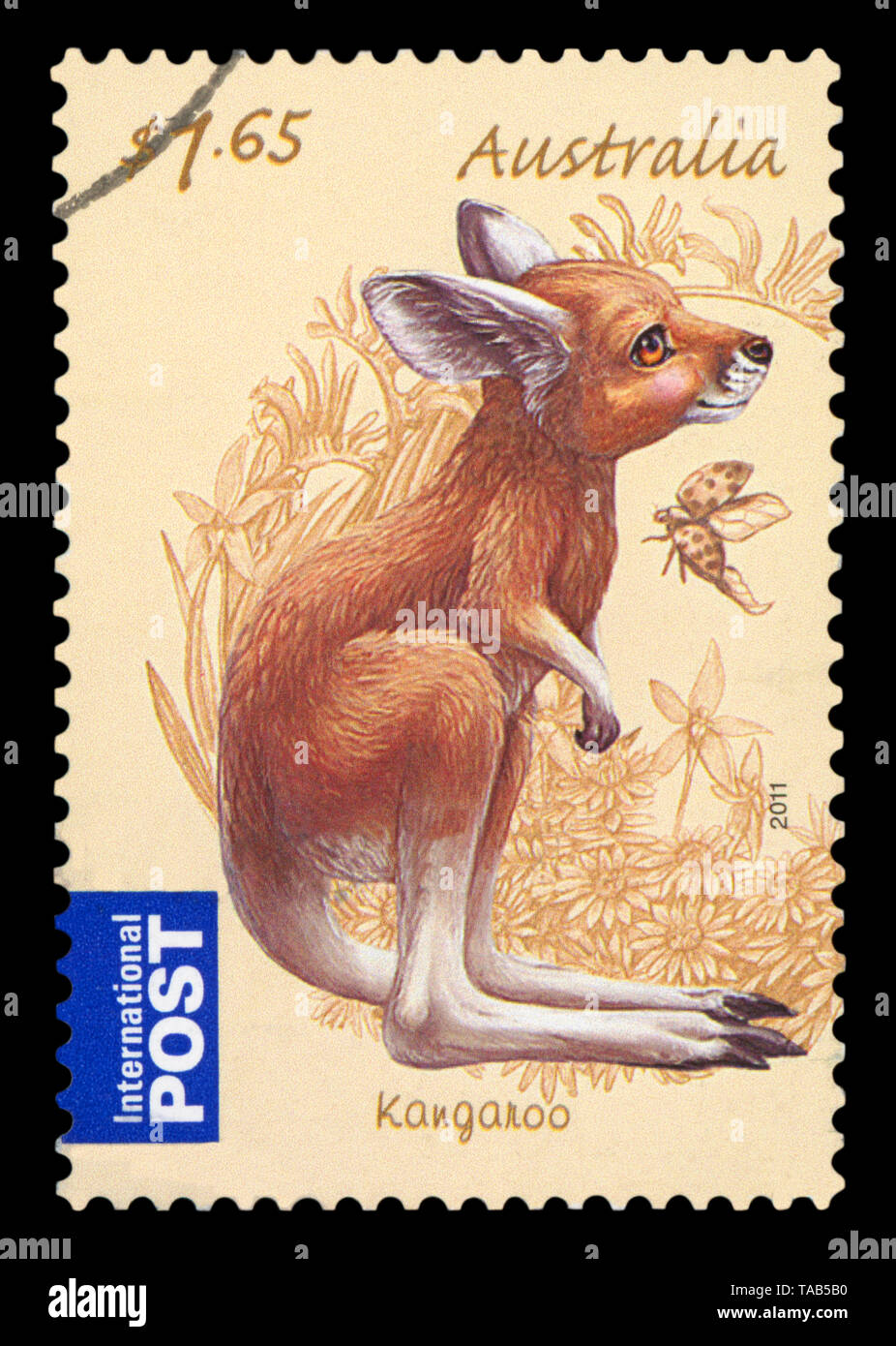 Australien - ca. 2011: einen Stempel in Australien gedruckten zeigt Kangaroo, circa 2011. Stockfoto