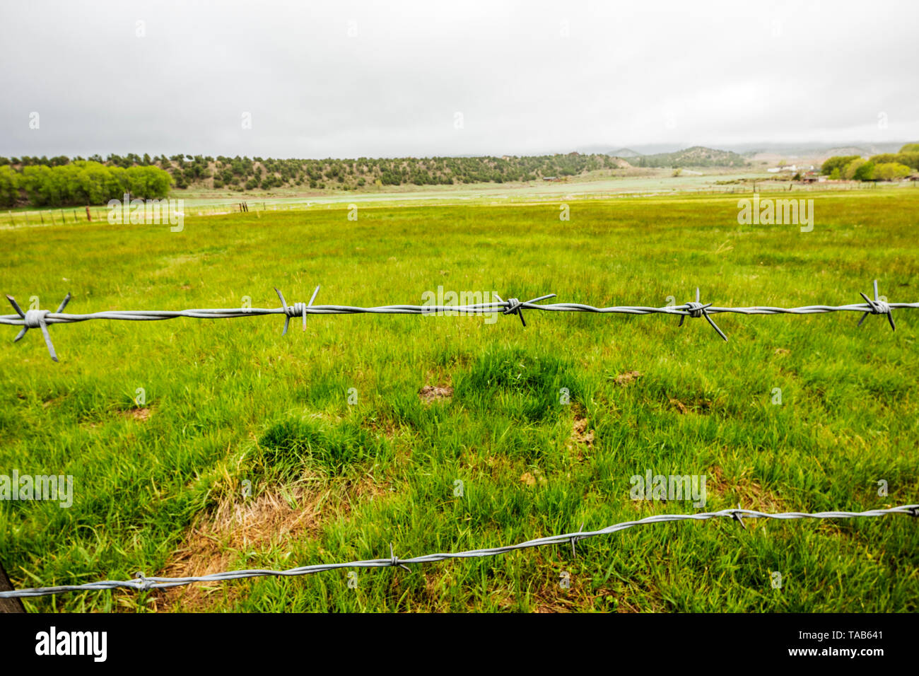 Nahaufnahme der Stacheldrahtzaun; Ranch in Colorado, USA Stockfoto