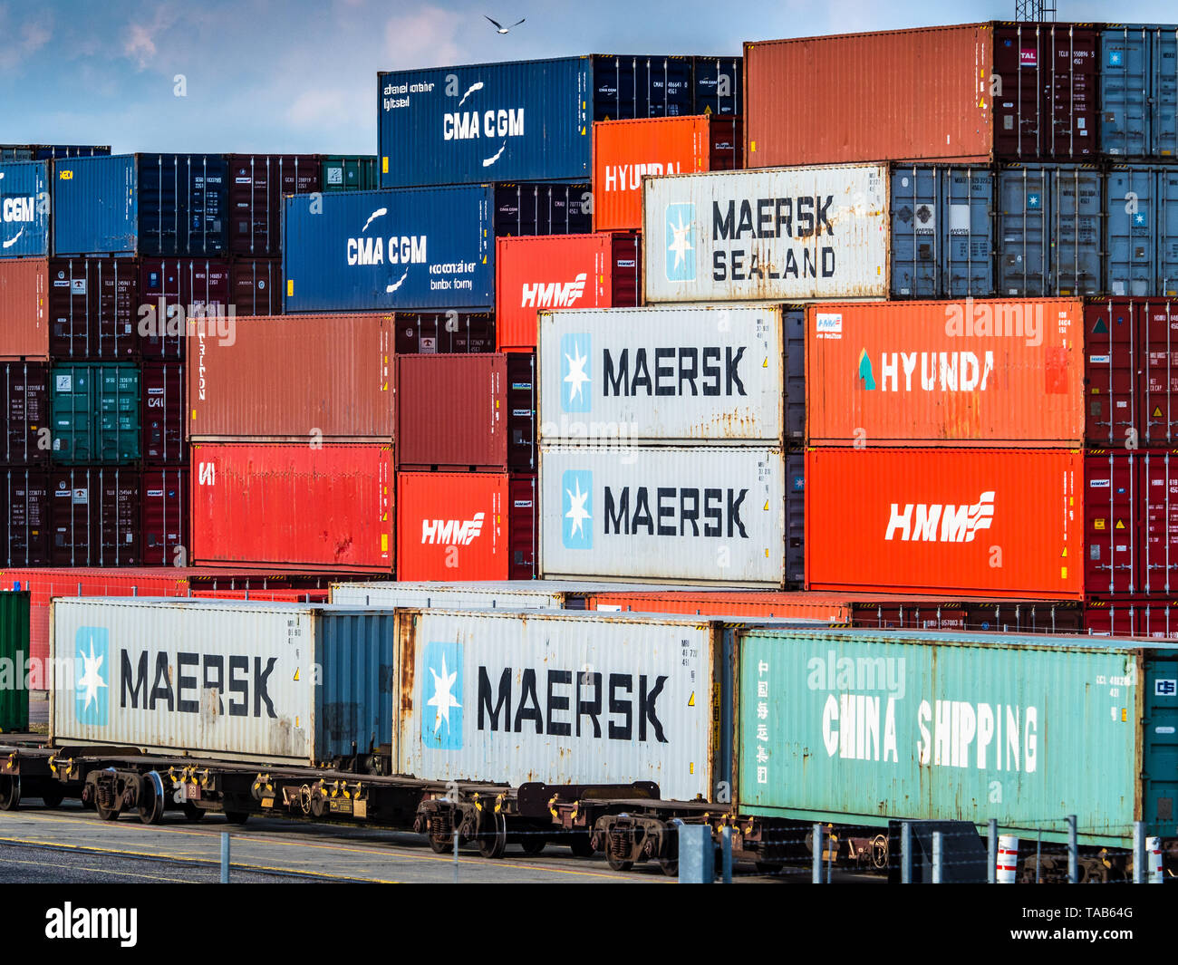 Rail Freight Terminal UK - Intermodal Shipping Container werden in Güterzüge für den Weitertransport am Felixstowe Port Railhead verladen. Stockfoto