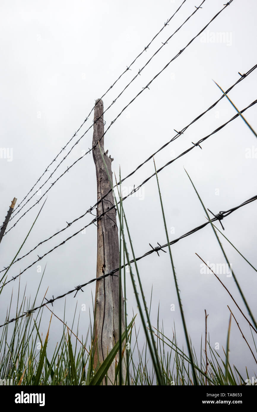 In der Nähe von Stacheldraht zaun & Holzzaun Post gegen bedeckt stürmischen Himmel; Ranch in Colorado, USA Stockfoto