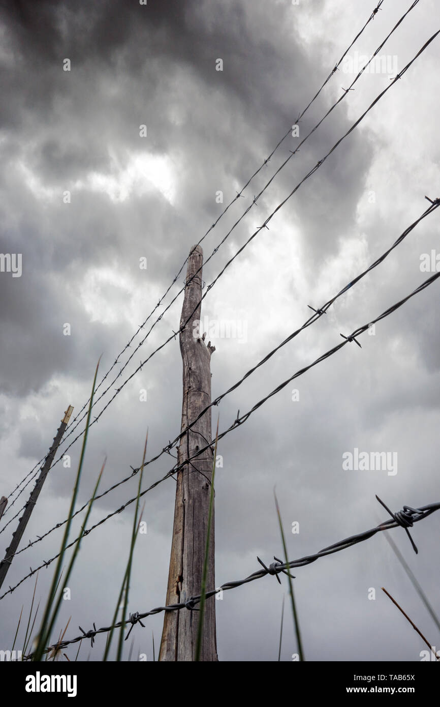 In der Nähe von Stacheldraht zaun & Holzzaun Post gegen bedeckt stürmischen Himmel; Ranch in Colorado, USA Stockfoto