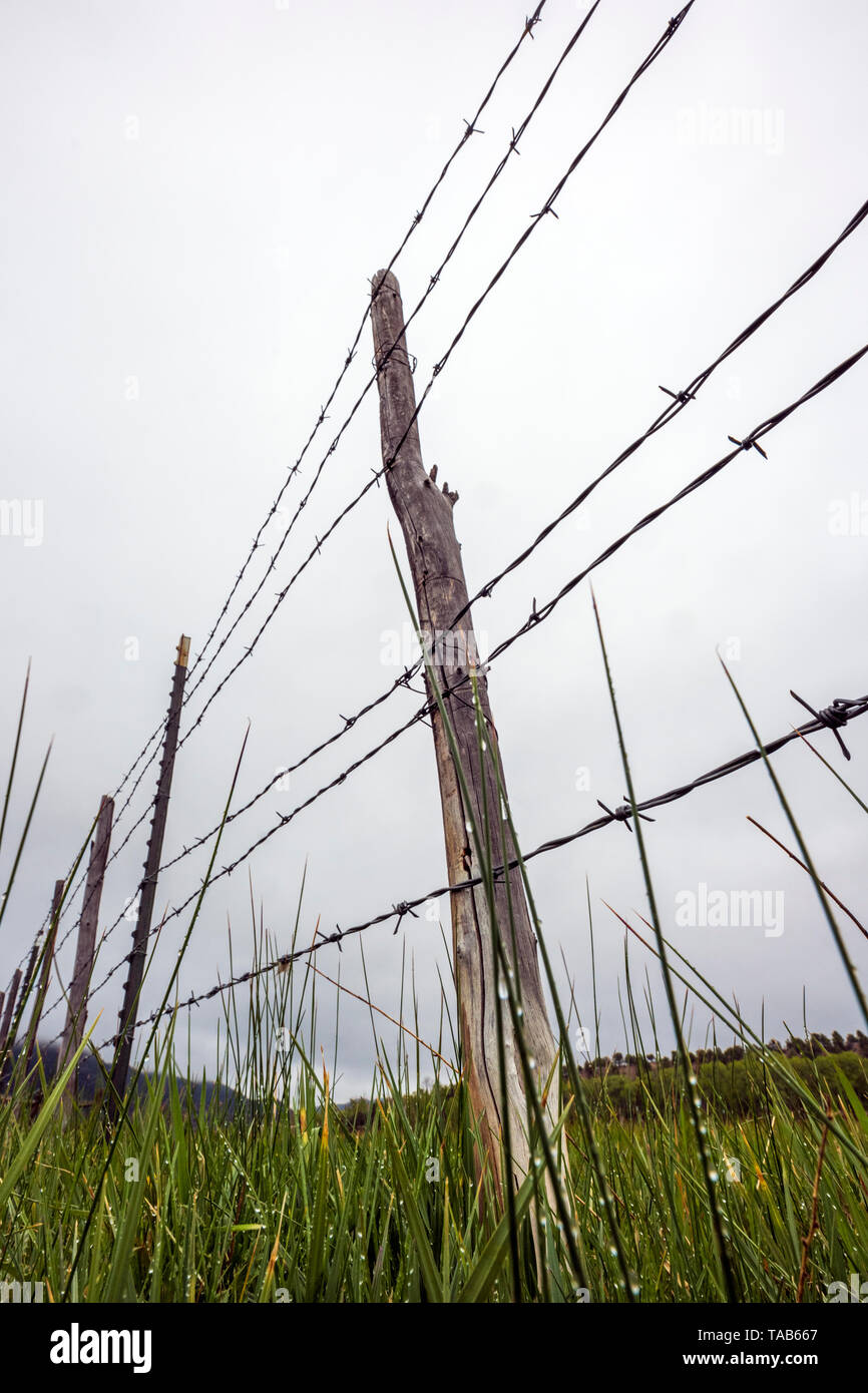 In der Nähe von Stacheldraht zaun & Holzzaun Post gegen bedeckt stürmischen Himmel; Ranch in Colorado, USA Stockfoto