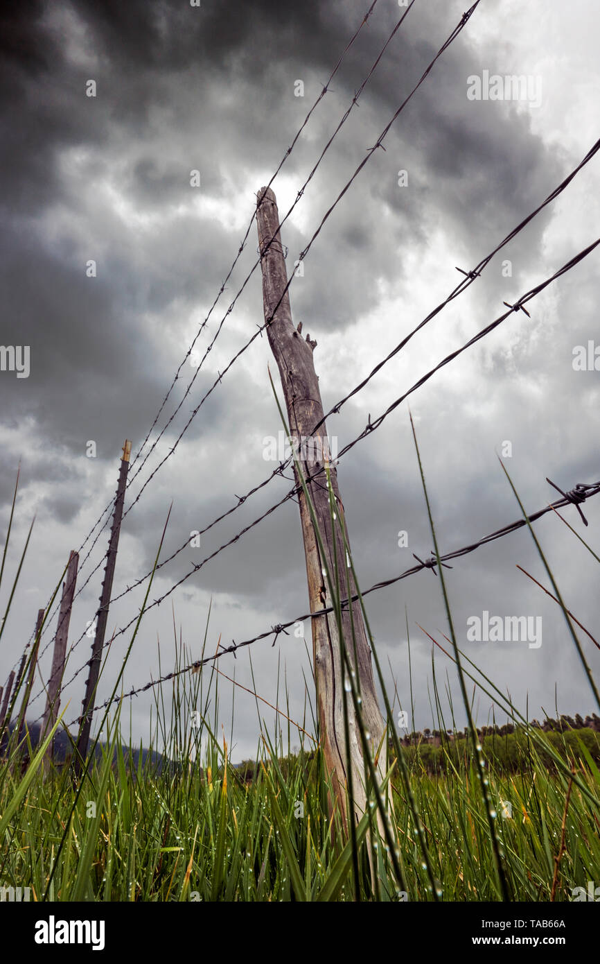 In der Nähe von Stacheldraht zaun & Holzzaun Post gegen bedeckt stürmischen Himmel; Ranch in Colorado, USA Stockfoto