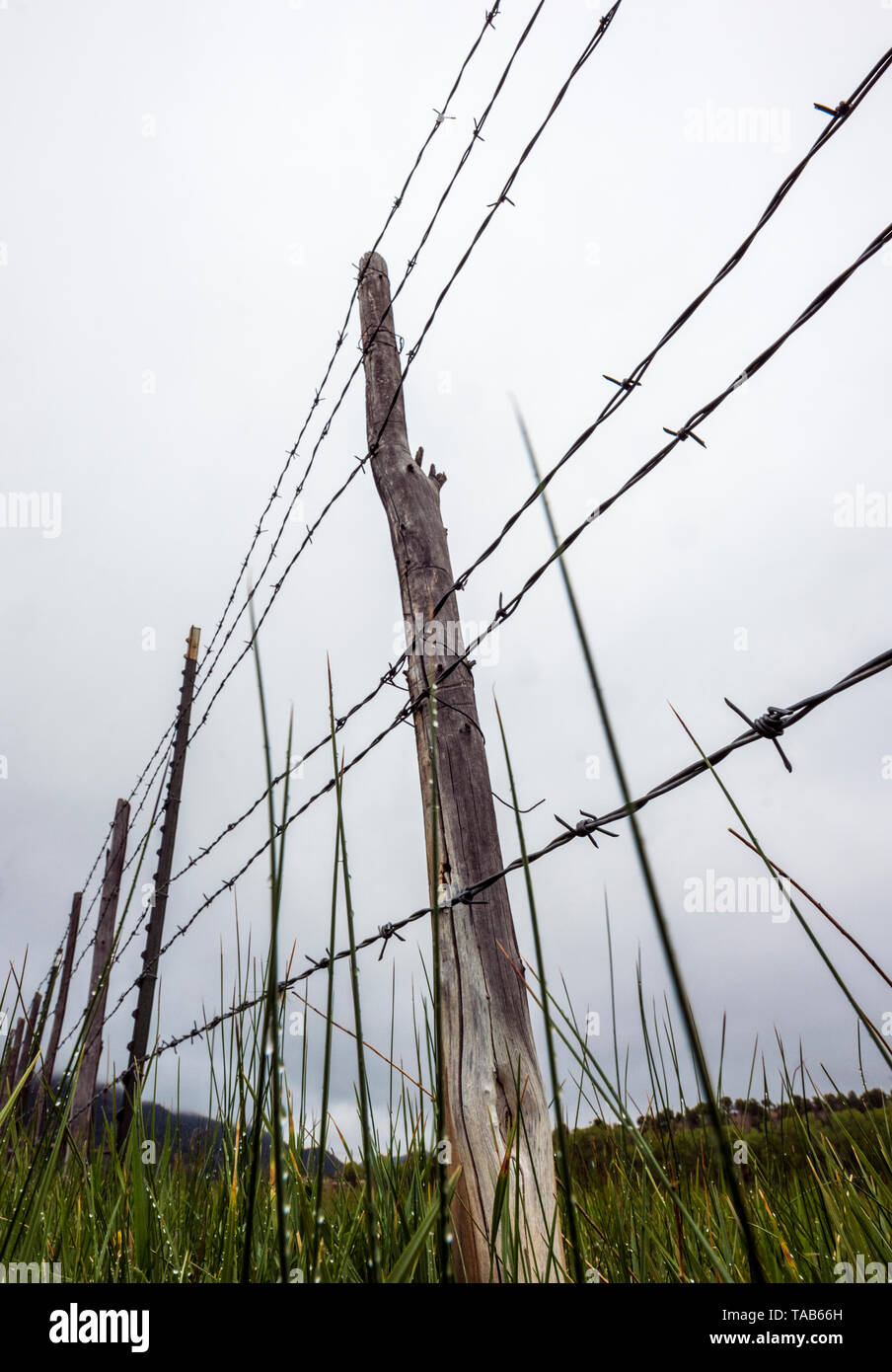 In der Nähe von Stacheldraht zaun & Holzzaun Post gegen bedeckt stürmischen Himmel; Ranch in Colorado, USA Stockfoto