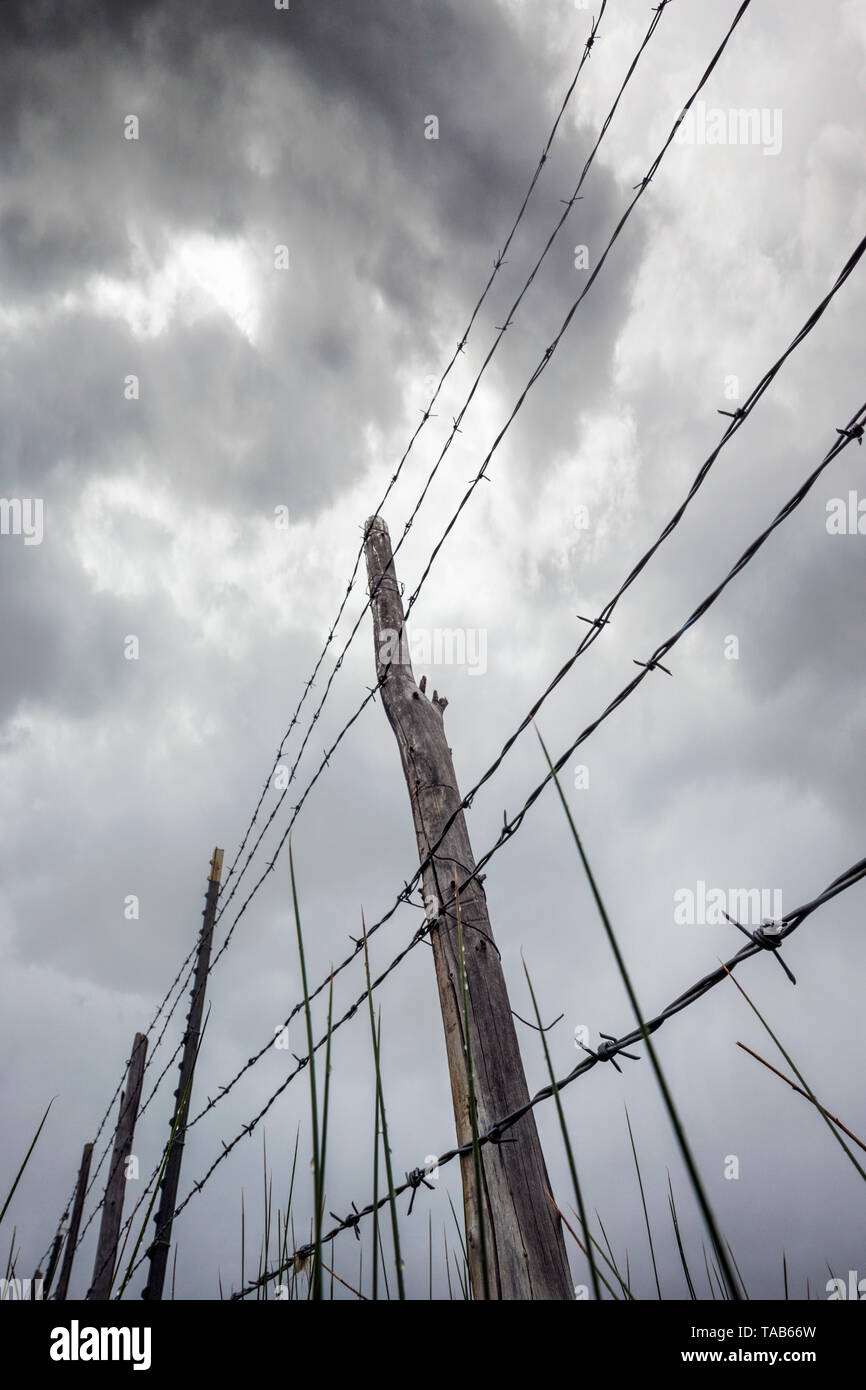 In der Nähe von Stacheldraht zaun & Holzzaun Post gegen bedeckt stürmischen Himmel; Ranch in Colorado, USA Stockfoto