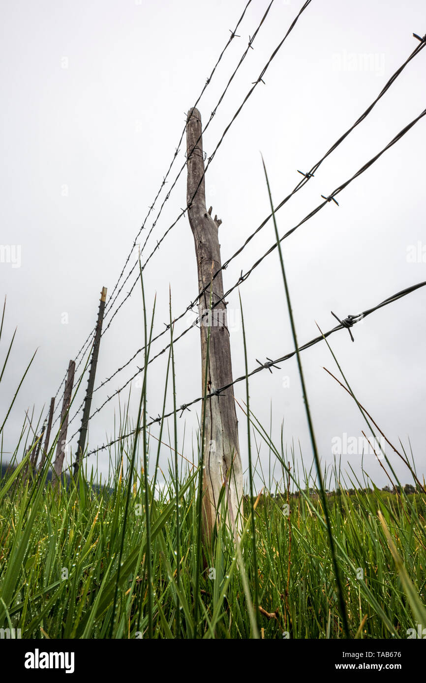In der Nähe von Stacheldraht zaun & Holzzaun Post gegen bedeckt stürmischen Himmel; Ranch in Colorado, USA Stockfoto