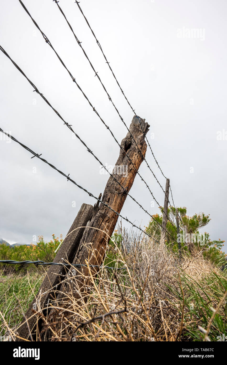 In der Nähe von Stacheldraht zaun & Holzzaun Post gegen bedeckt stürmischen Himmel; Ranch in Colorado, USA Stockfoto