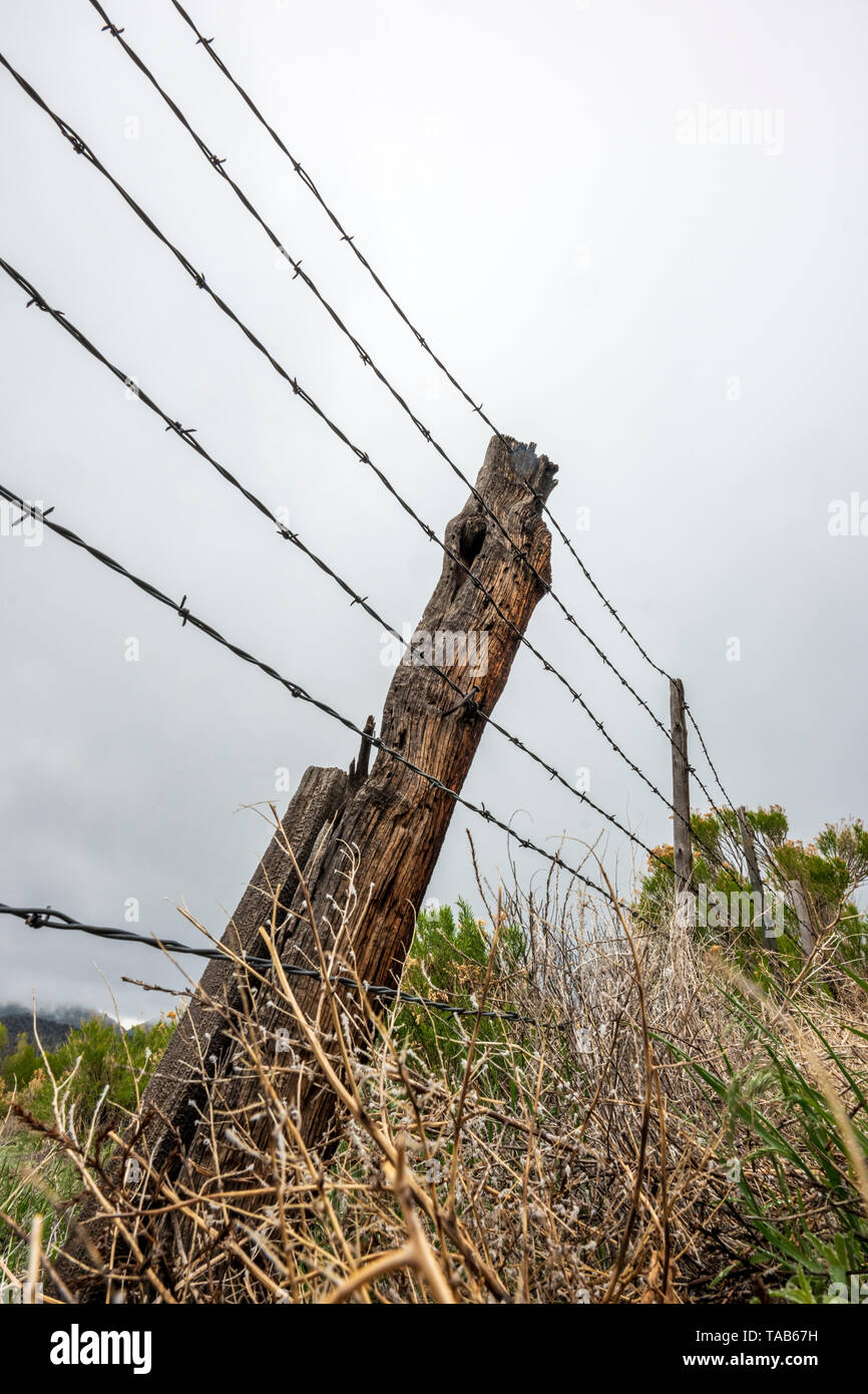 In der Nähe von Stacheldraht zaun & Holzzaun Post gegen bedeckt stürmischen Himmel; Ranch in Colorado, USA Stockfoto