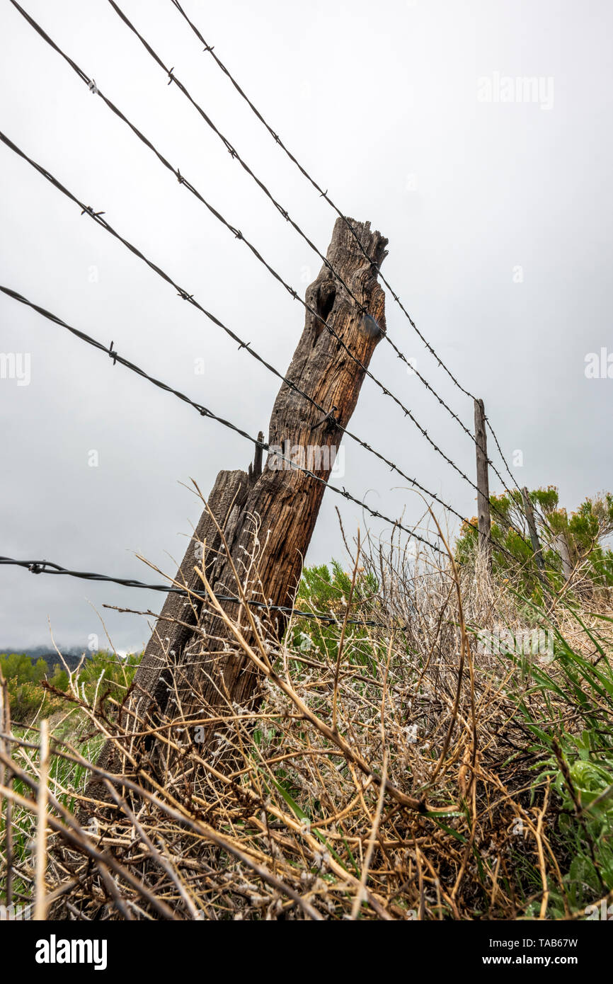 In der Nähe von Stacheldraht zaun & Holzzaun Post gegen bedeckt stürmischen Himmel; Ranch in Colorado, USA Stockfoto
