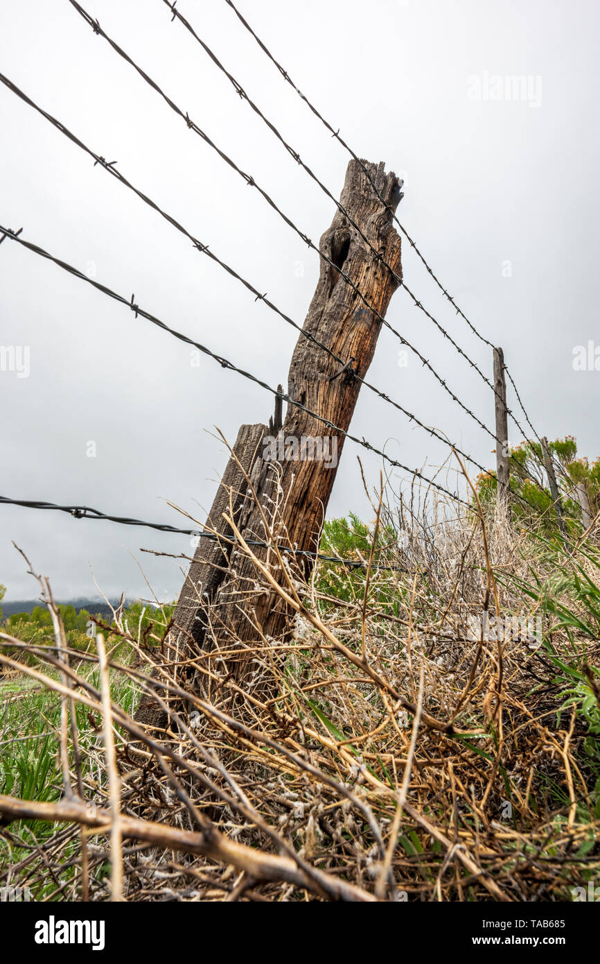 In der Nähe von Stacheldraht zaun & Holzzaun Post gegen bedeckt stürmischen Himmel; Ranch in Colorado, USA Stockfoto