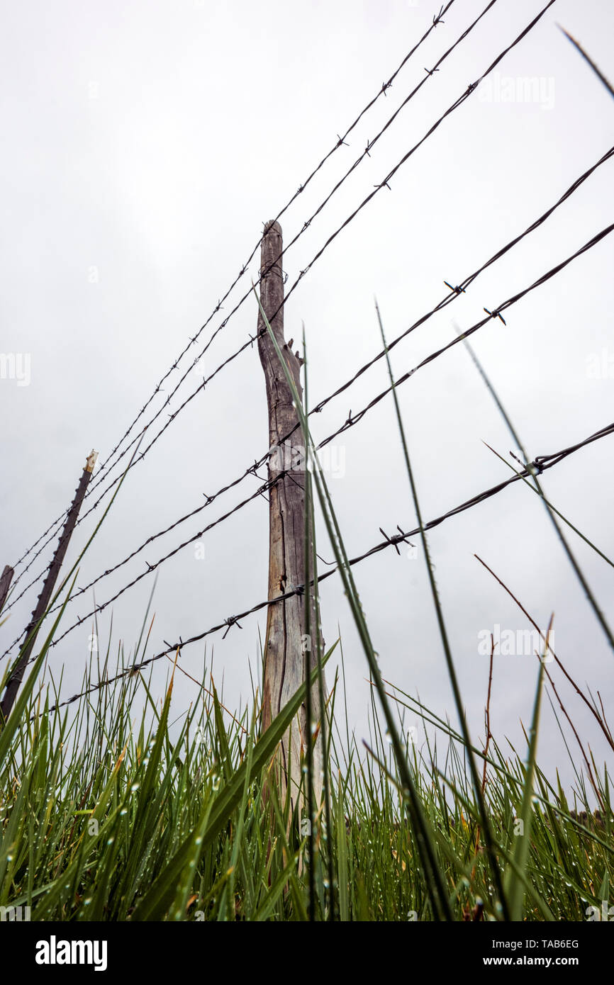 In der Nähe von Stacheldraht zaun & Holzzaun Post gegen bedeckt stürmischen Himmel; Ranch in Colorado, USA Stockfoto
