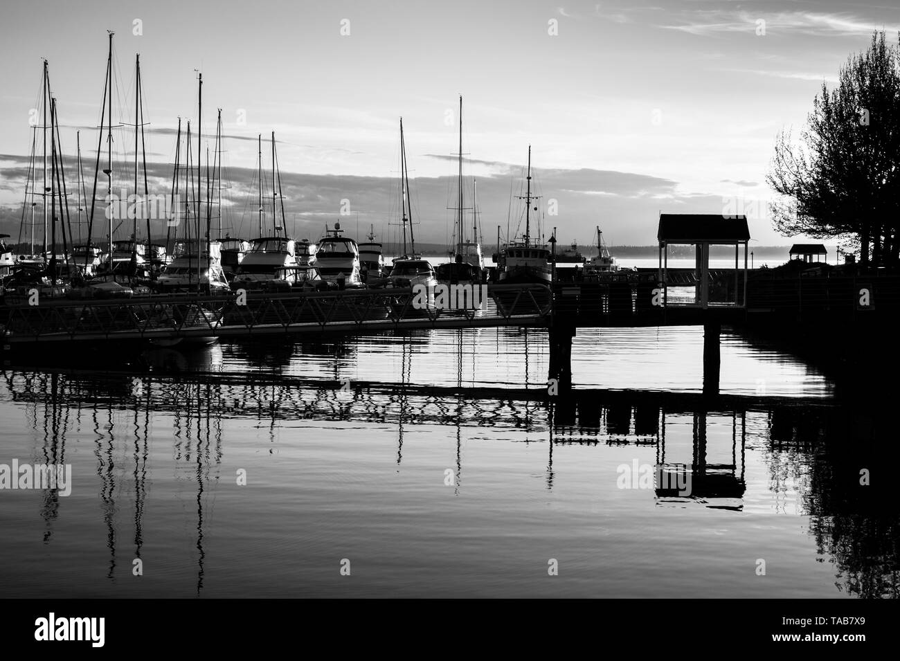 Elliott Bay Marina mit Boote mit Sonnenuntergang Licht über dem Puget Sound günstig Stockfoto