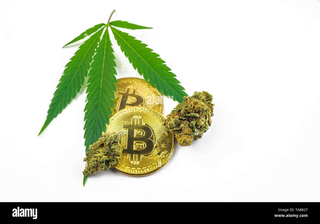 Grüne Cannabis Blatt, Knospe und Bitcoin Münze isoliert auf weißem Stockfoto