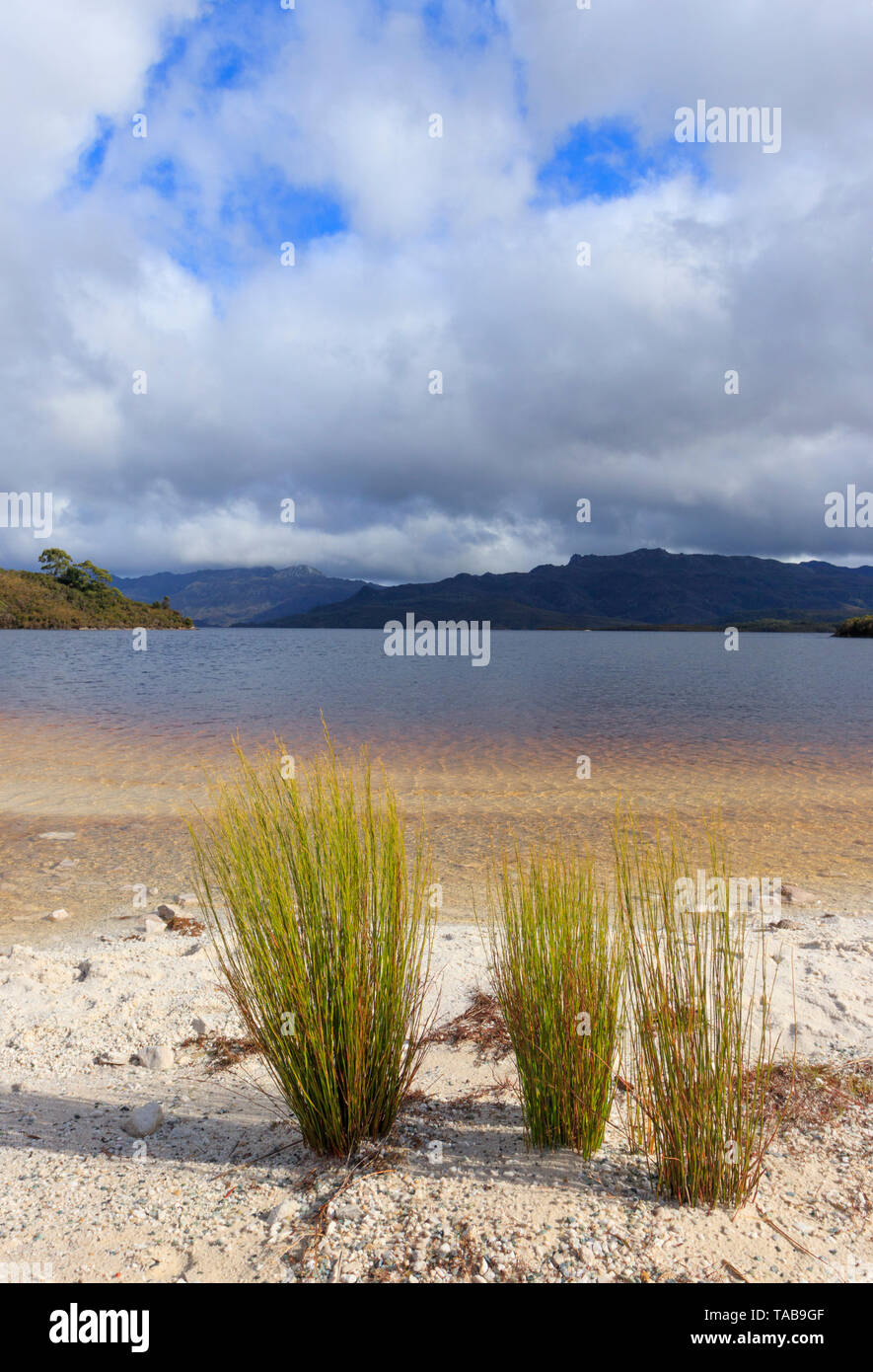 Lake Pedder Ufer am Teds Strand im Südwesten von Tasmanien, Australien. Stockfoto
