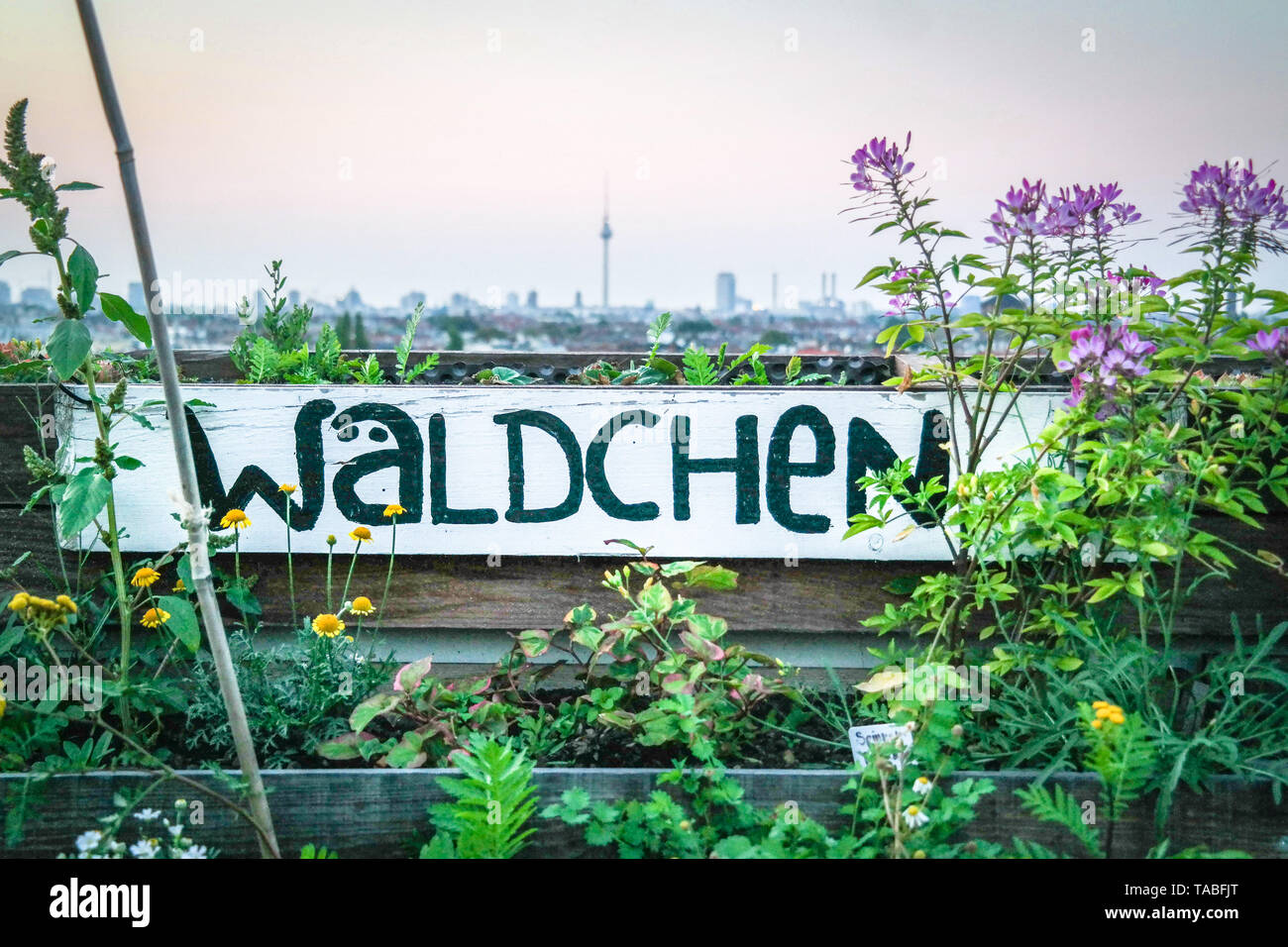 Berlin, Neukölln, Karl-Marx-Str., Klunkerkranich, Parkdeck, Abend. Städtisches Grün Stockfoto