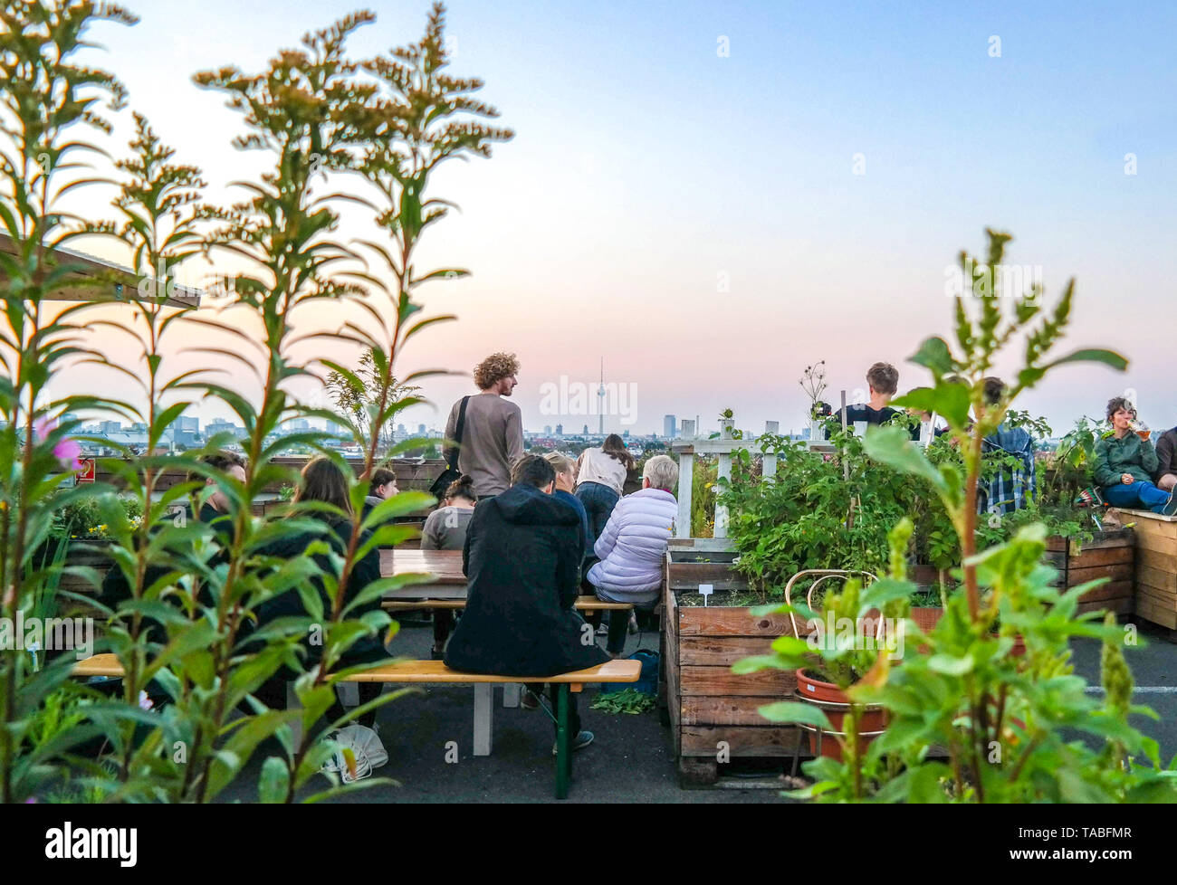Berlin, Neukölln, Karl-Marx-Str., Klunkerkranich, Parkdeck, Abend. Städtisches Grün Stockfoto