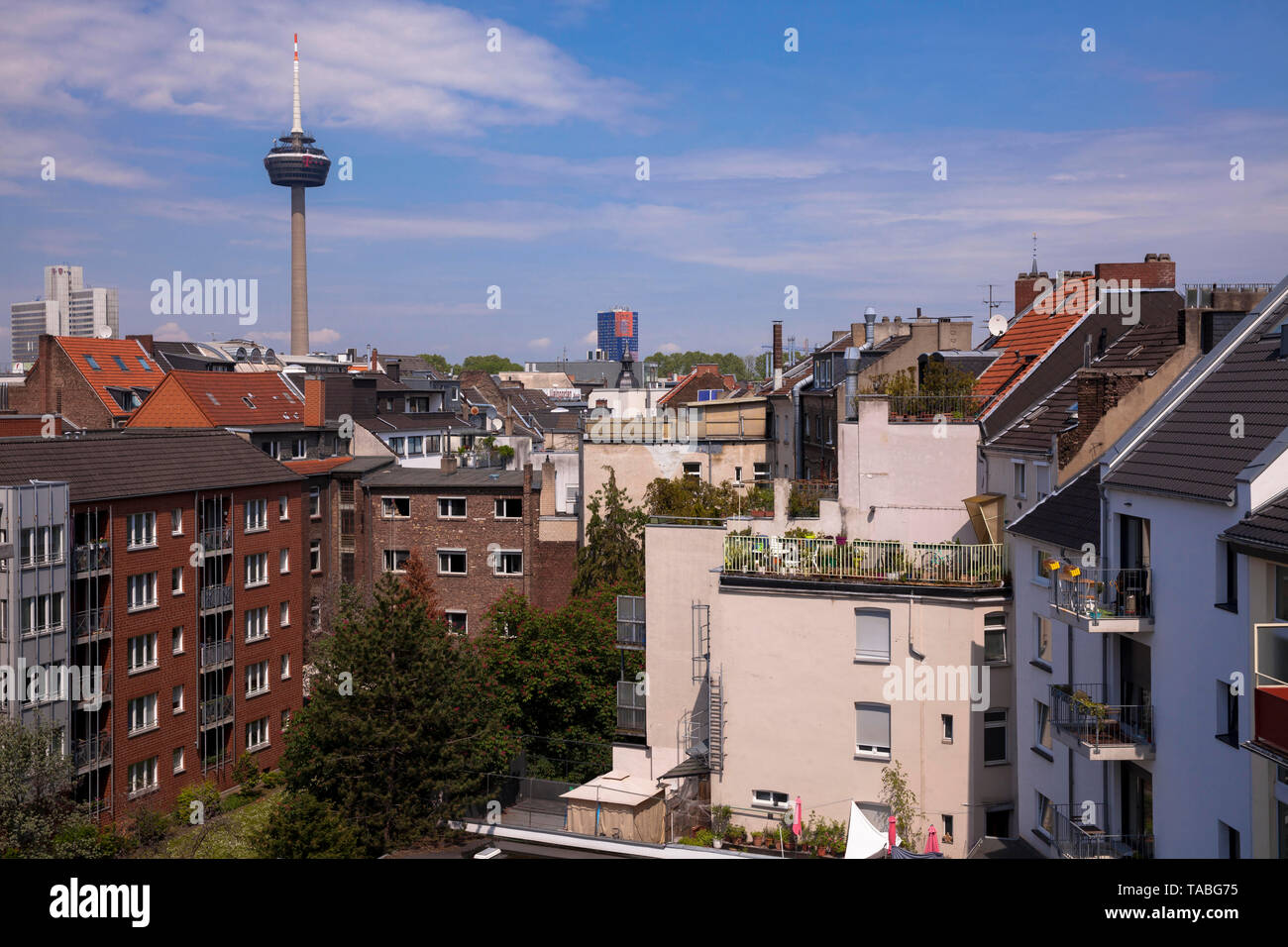 Blick über die Dächer der Häuser im Belgischen Viertel der Fernsehturm Colonius, Köln, Deutschland. Blick ueber die Daecher der Haeuser im B Stockfoto