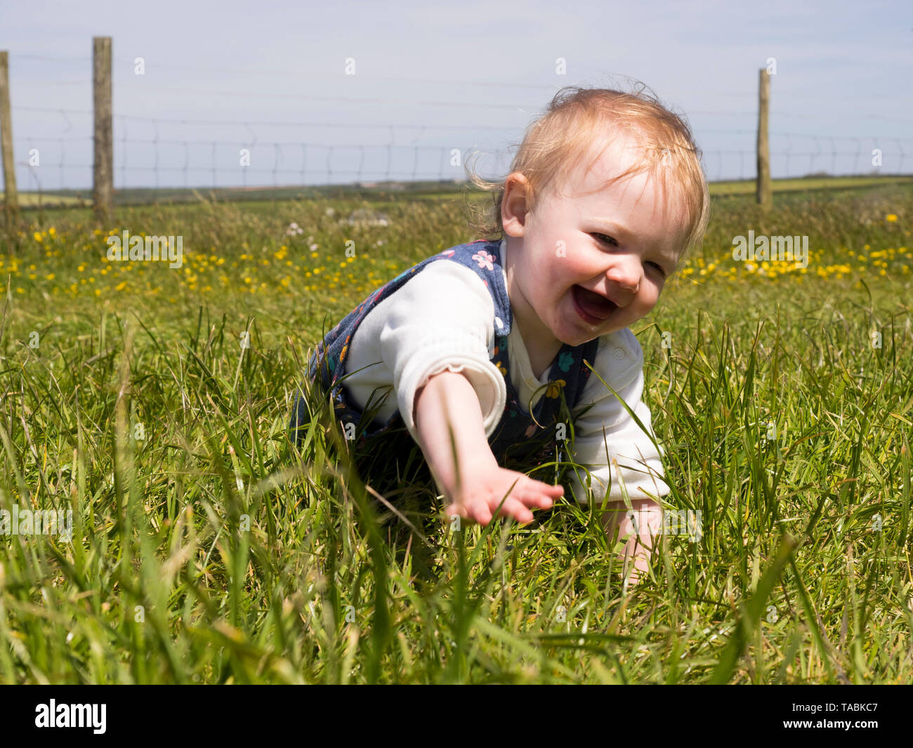Baby Mädchen kriecht durch das Gras, Großbritannien Stockfoto