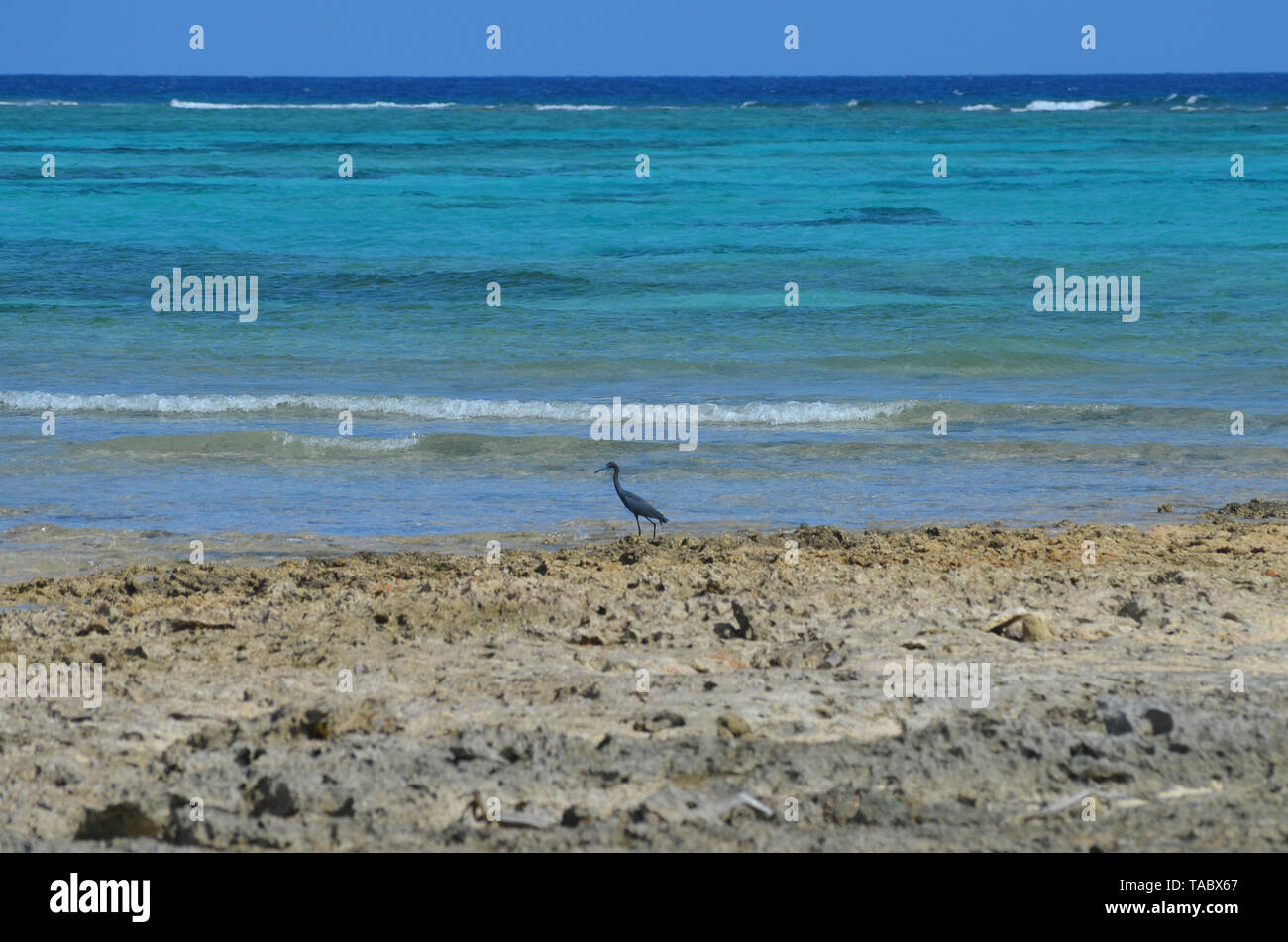 Guardalavaca Strand im Süden von Kuba, die derzeit von einer unhaltbaren massive Tourismus Modell bedroht Stockfoto