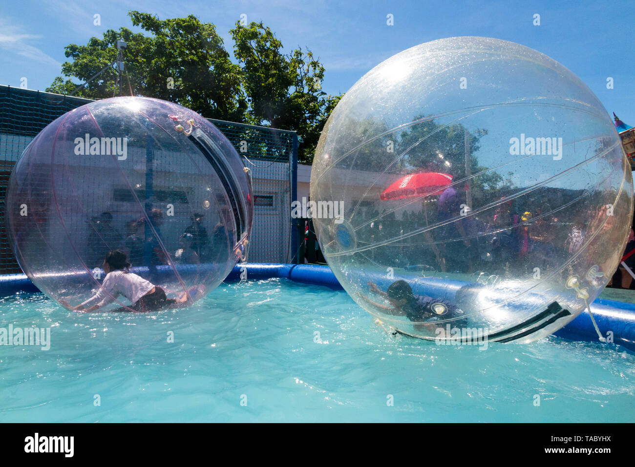 Kinder/Kinder genießen Rollen auf der Oberfläche von einem Pool von Wasser in aufblasbare Bälle waterwalkerz genannt, die es den Menschen ermöglichen, auf dem Wasser in einem menschlichen hamster Ball zu gehen. (99) Stockfoto