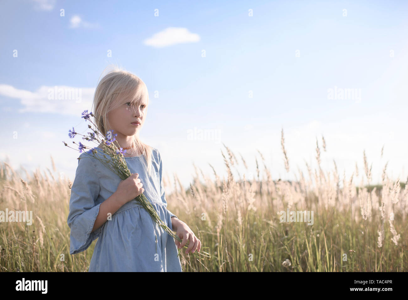 Blonde Mädchen holding Kornblumen in einem Feld Stockfoto