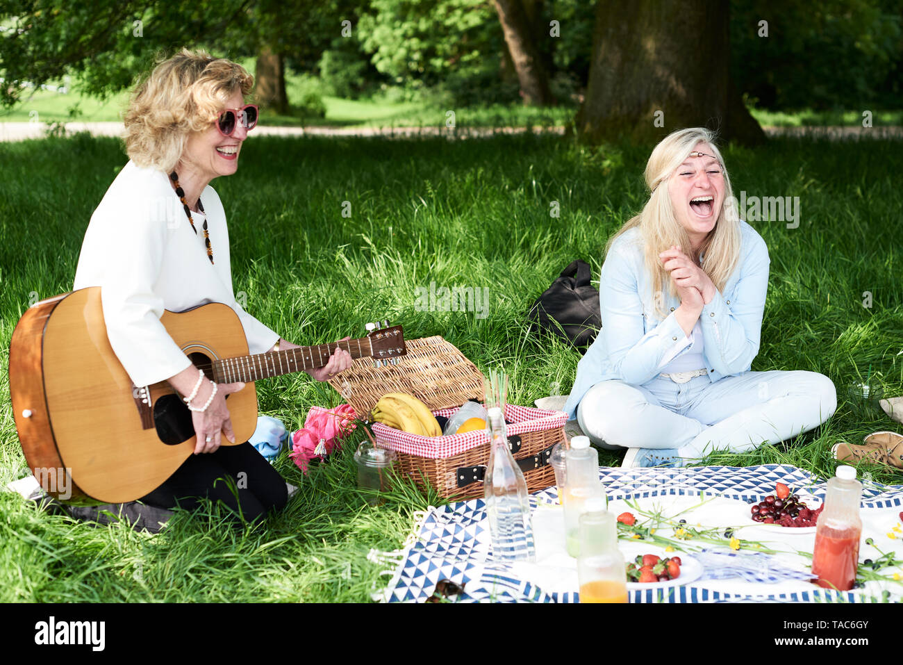 Frauen mit Gitarre Spaß an ein Picknick im Park Stockfoto