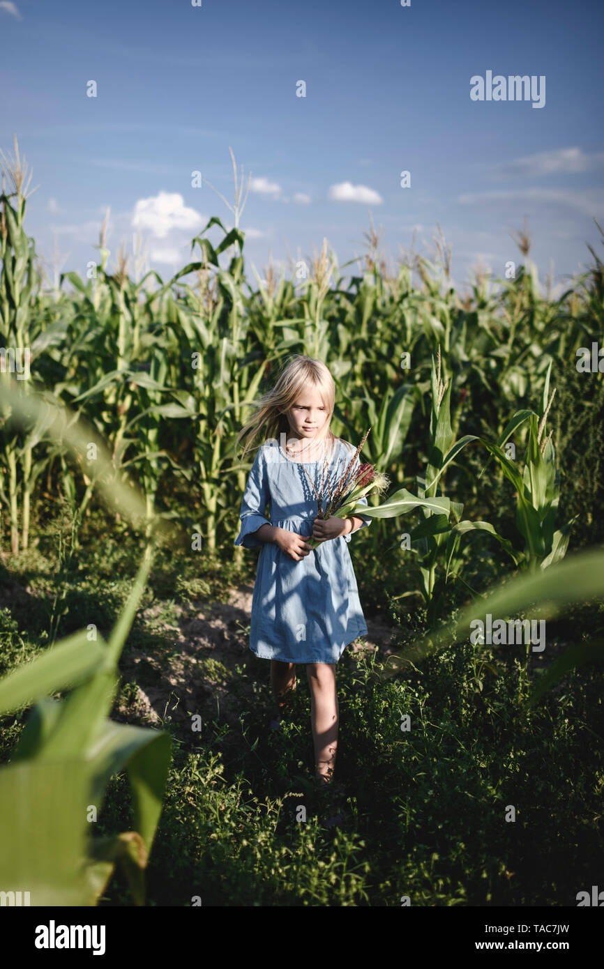 Blonde Mädchen stehen in einem Maisfeld Stockfoto