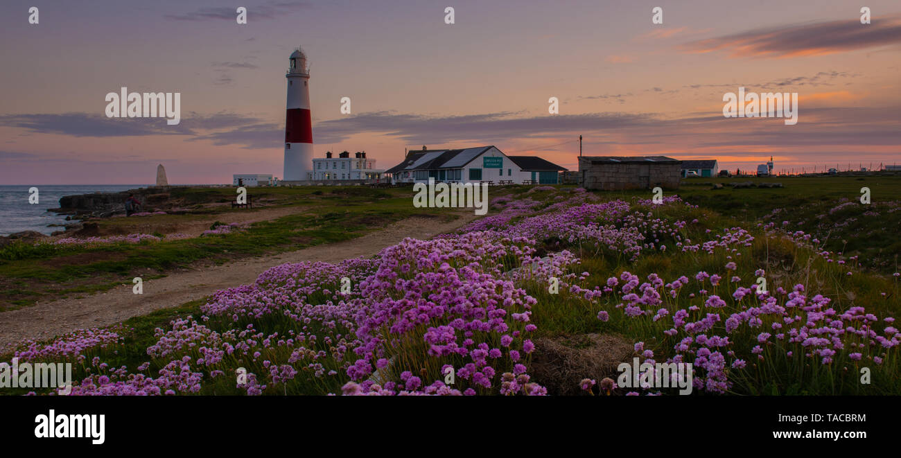 Portland, Dorset, Großbritannien. 23. Mai 2019. UK Wetter: Die Sonne hinter dem ikonischen Portland Bill Leuchtturm auf der Isle of Portland am Ende eines schönen Frühlingstag. Die zarten rosa Meer Sparsamkeit Blumen in voller Blüte, den Leuchtturm besonders malerisch in dieser Zeit des Jahres. Credit: Celia McMahon/Alamy Leben Nachrichten. Stockfoto